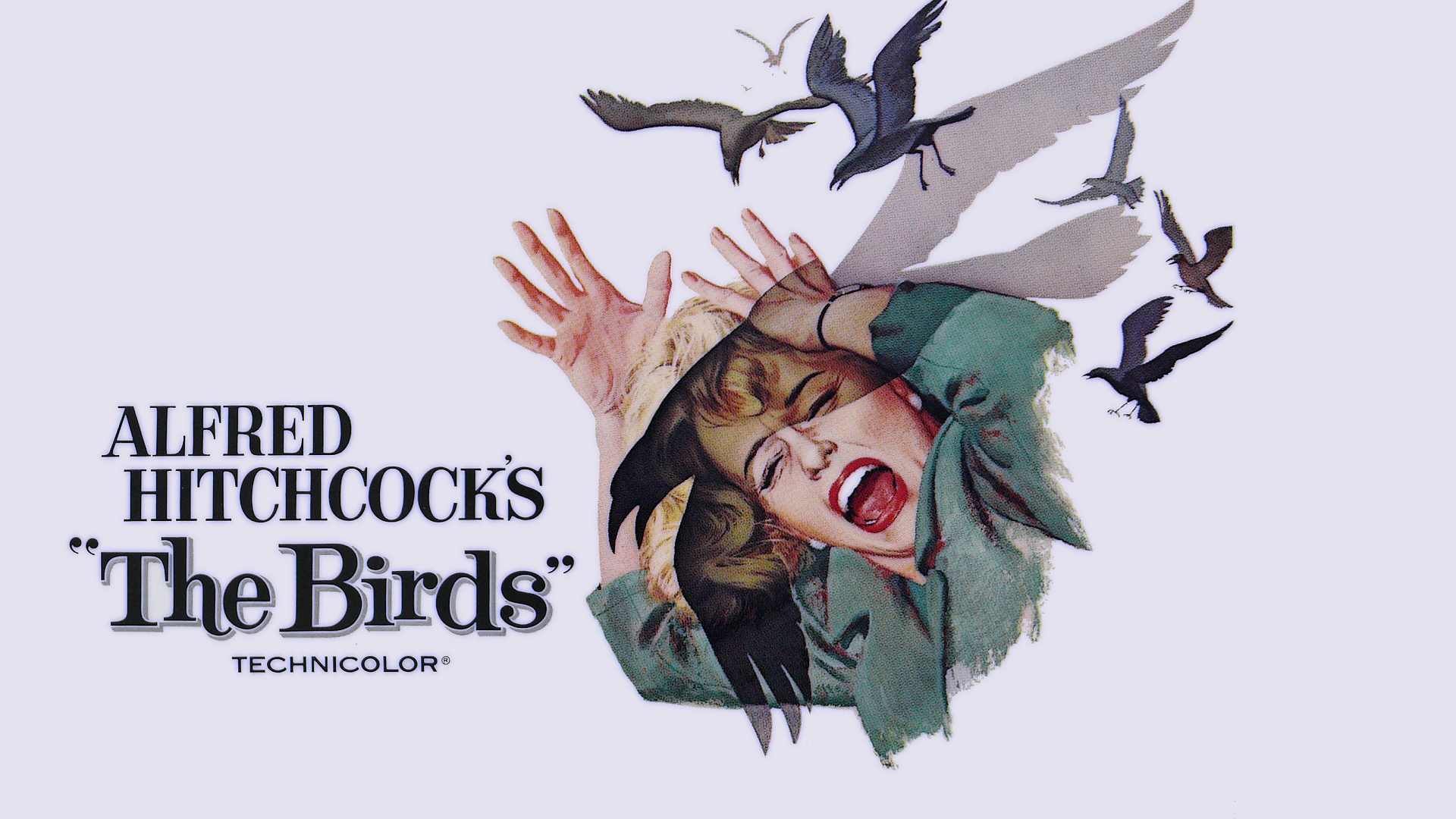 Movie The Birds 1920x1080