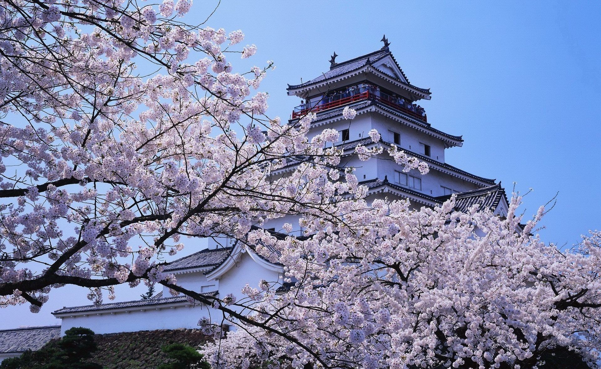 Castle Himeji Castle Japan Sakura Spring 1920x1180