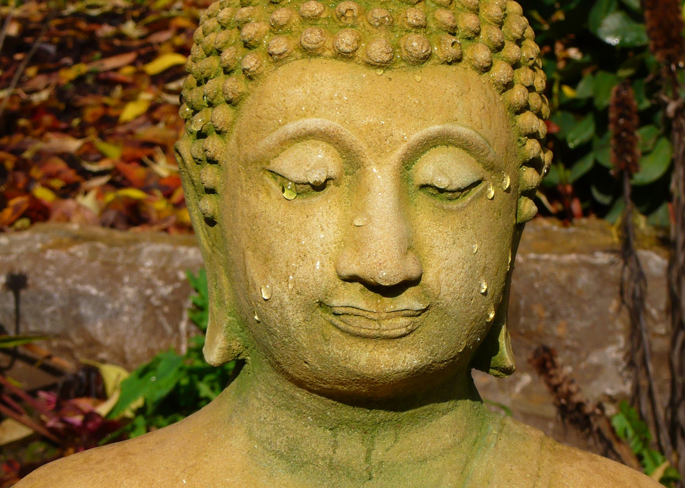 Religious Buddha 2371x1691
