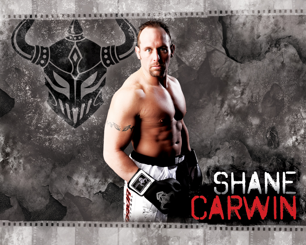 Carwin International Mma Warrior 1280x1024