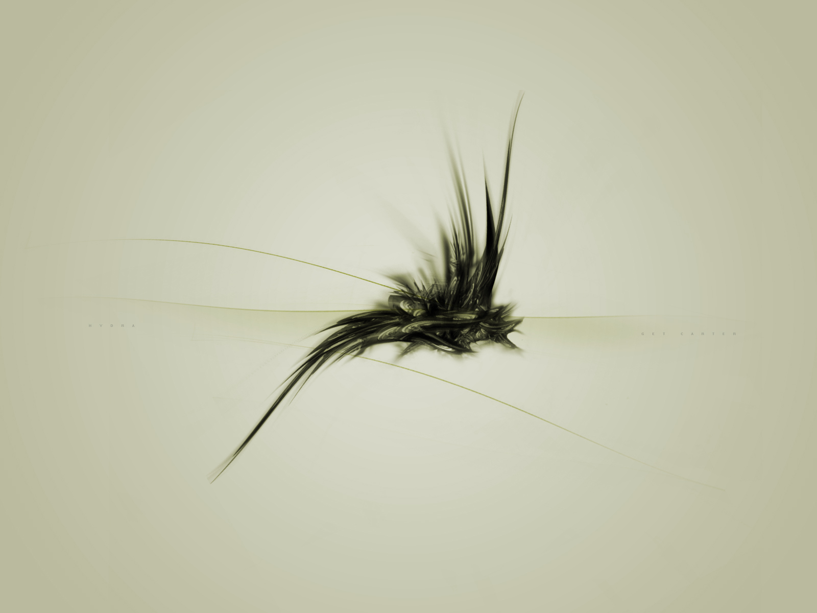 Abstract Artistic Fly Insect 1600x1200