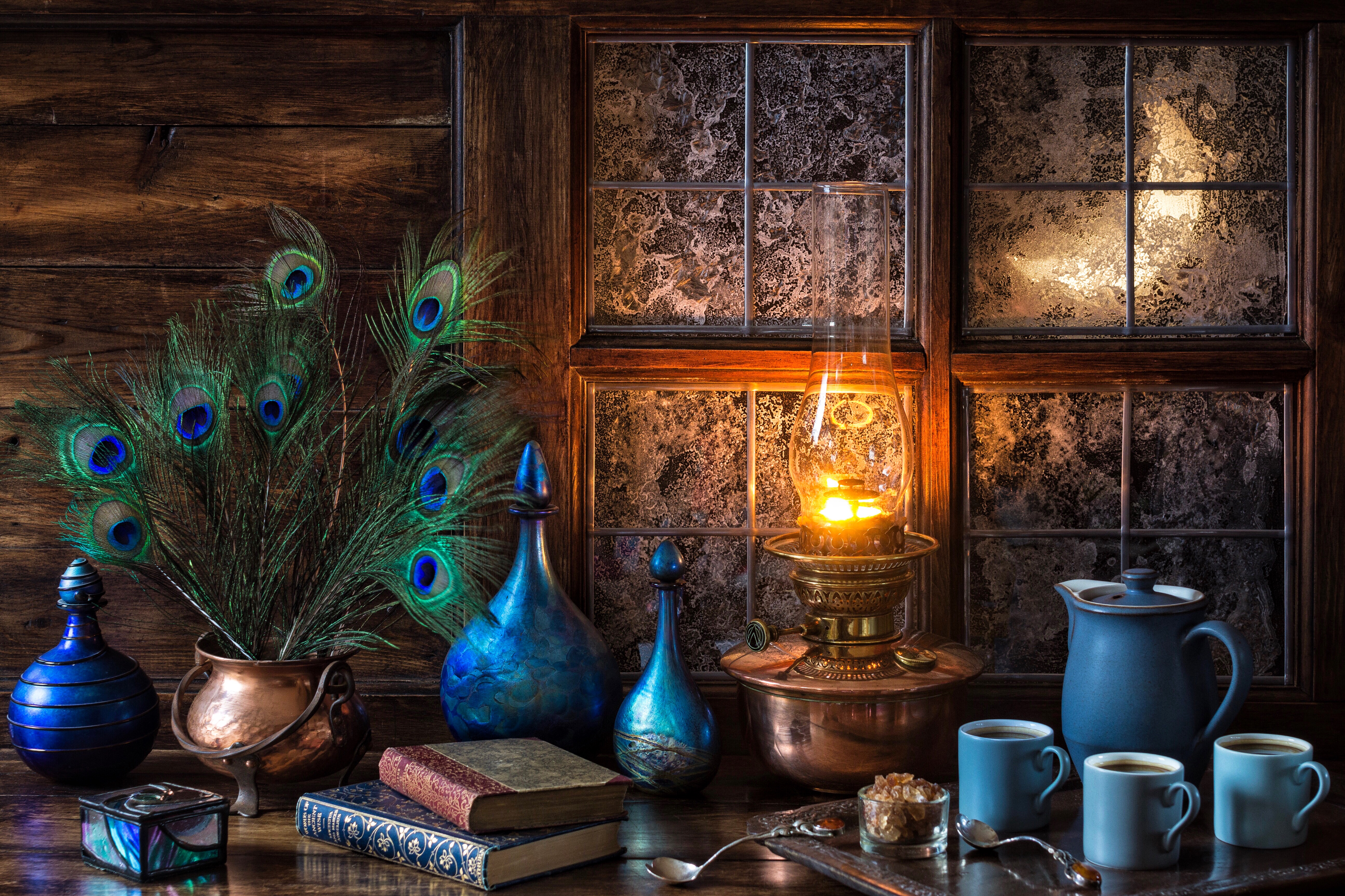 Blue Book Feather Lamp Peacock Still Life Vase Window 5184x3456