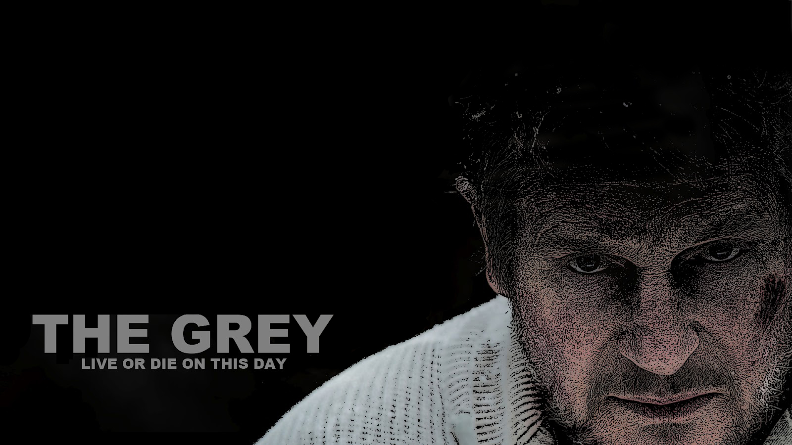 Liam Neeson Movie The Grey Thriller 1600x900