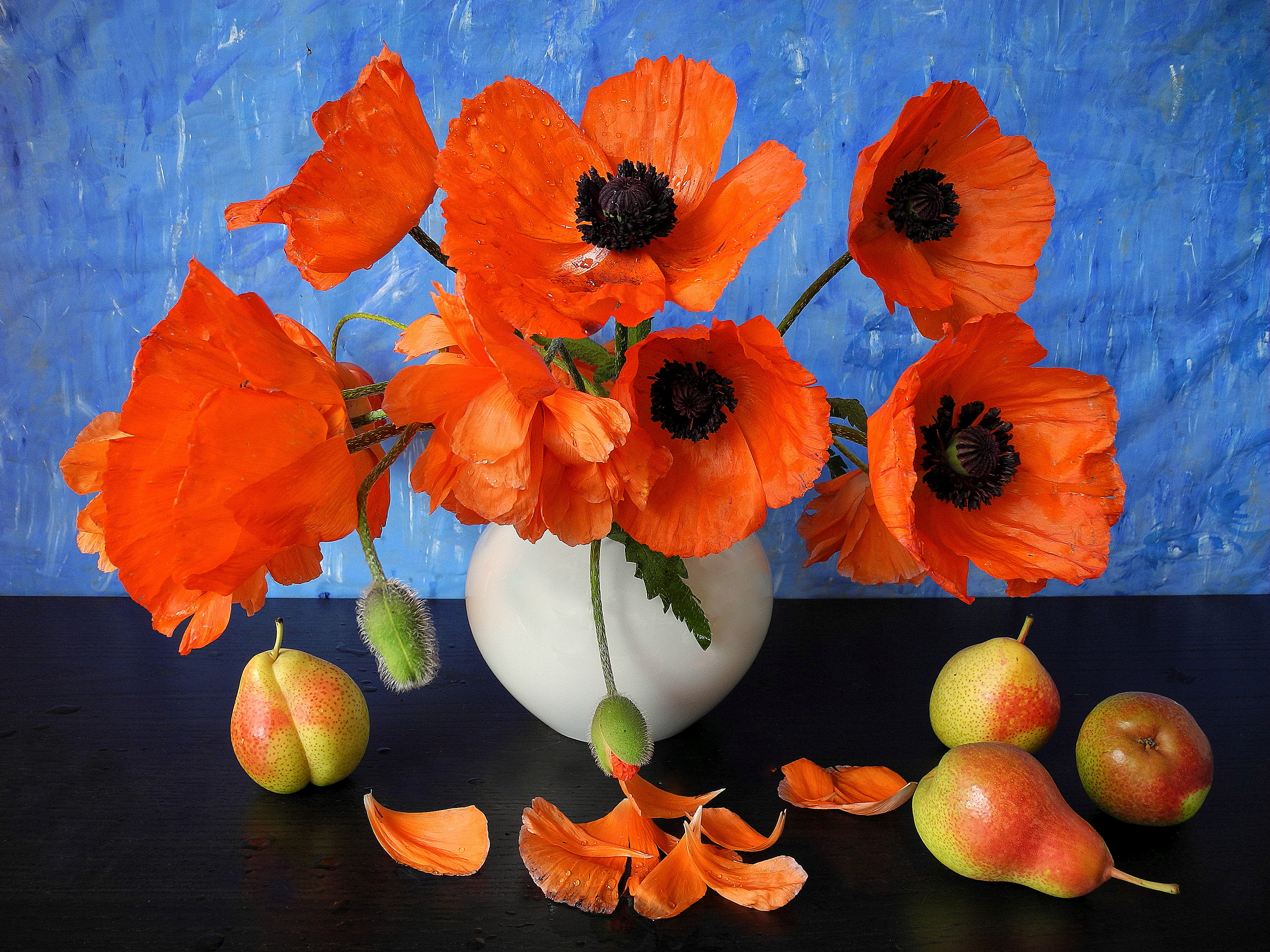 Anemone Flower Fruit Orange Flower Pear Petal Poppy Still Life Vase 3264x2448
