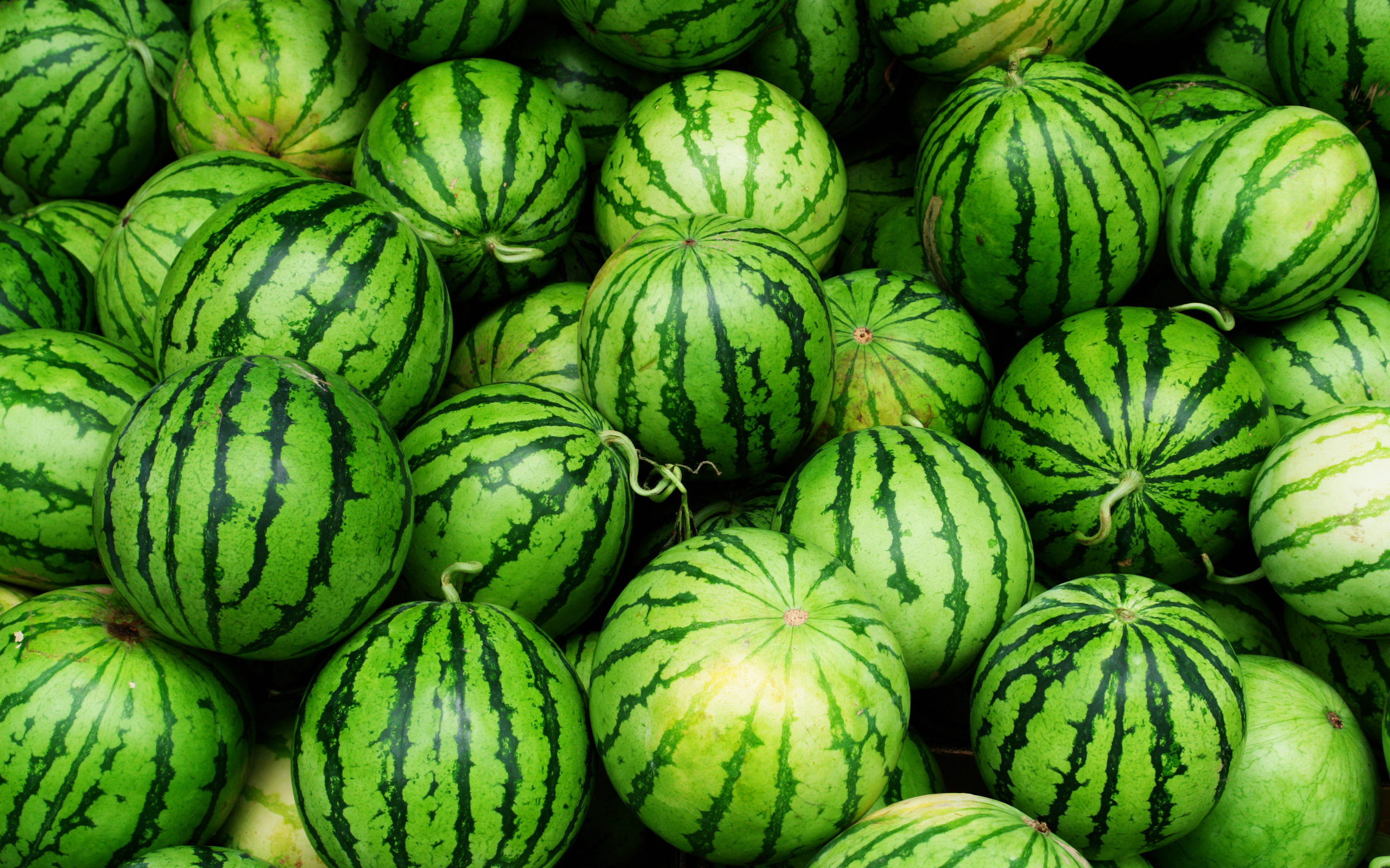 Food Watermelon 2560x1600