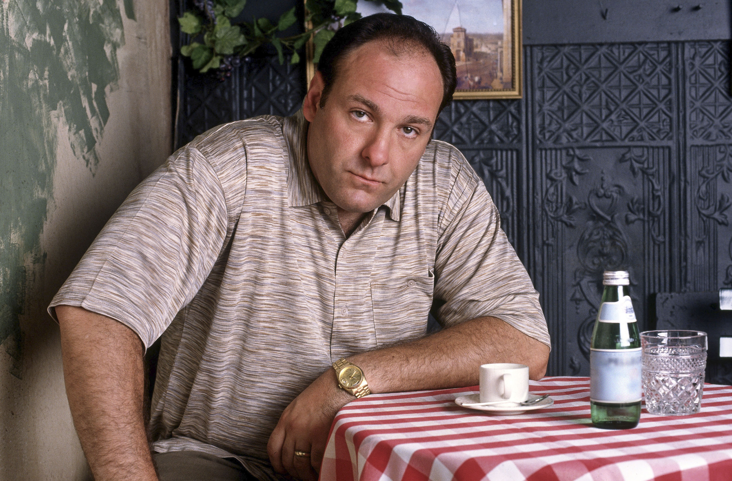 James Gandolfini 3030x1991