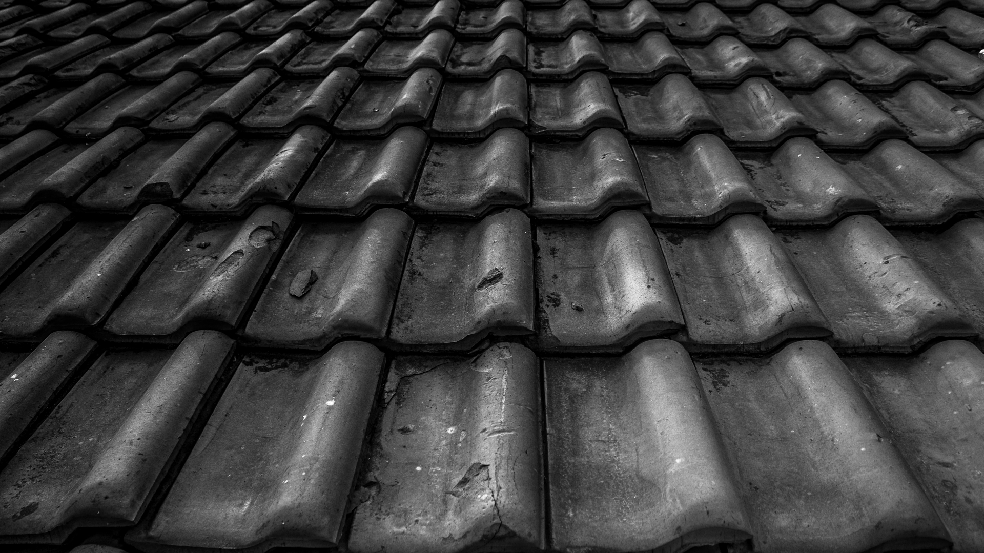 Roof 1920x1079