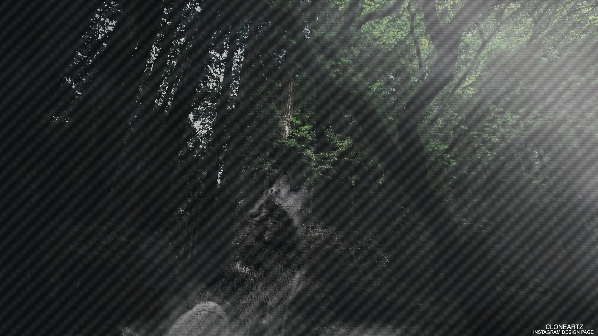 Artistic Forest Howling Manipulation Tree Wolf 1920x1080
