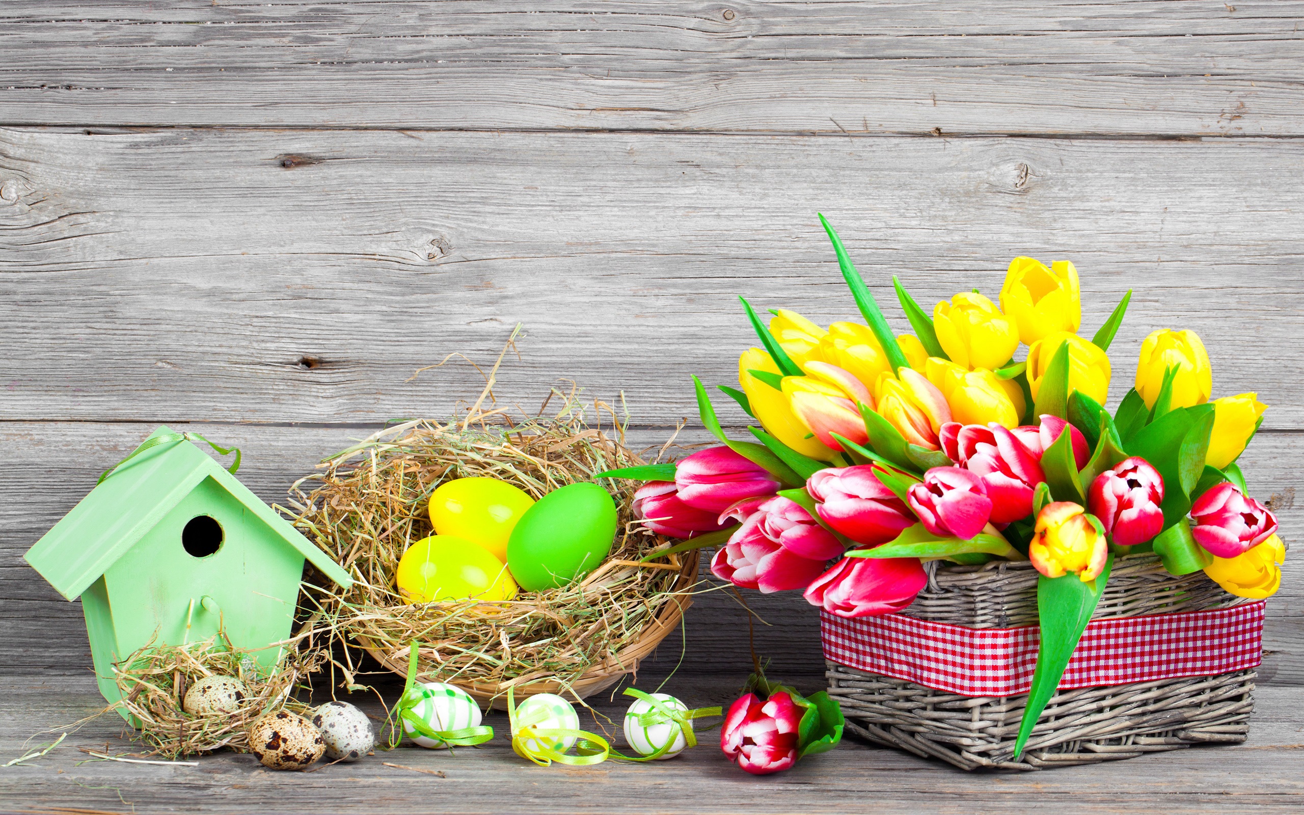 Bird House Colorful Colors Easter Easter Egg Egg Holiday Nest Spring Still Life Tulip 2560x1600