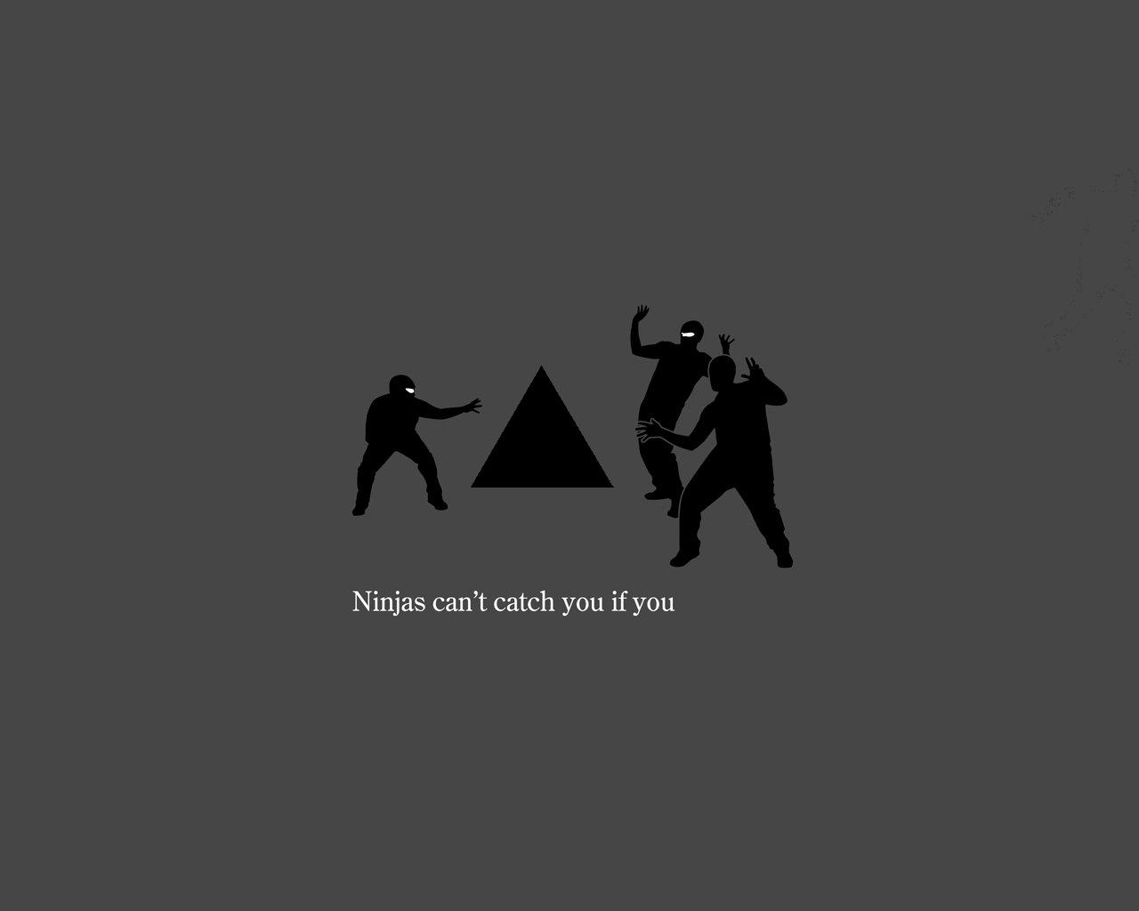 Humor Ninja 1280x1024