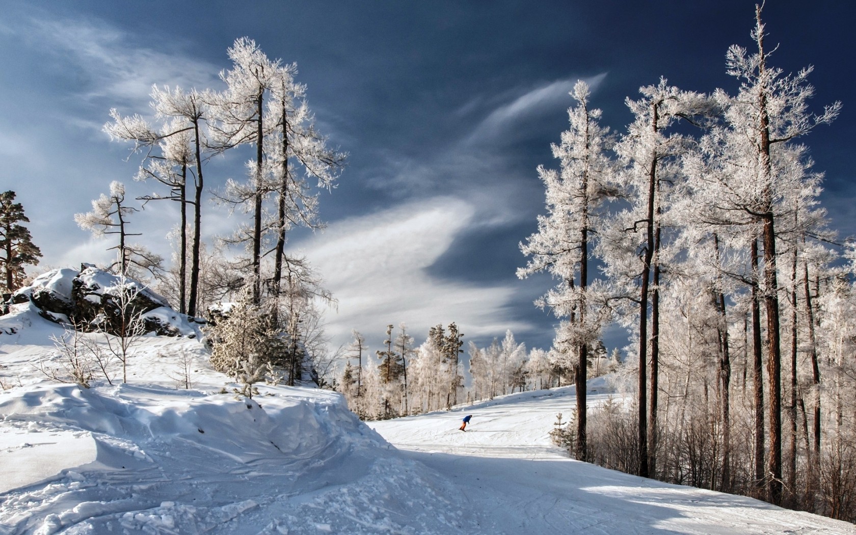 Snow Snowboarding Sport Tree Winter 1680x1050