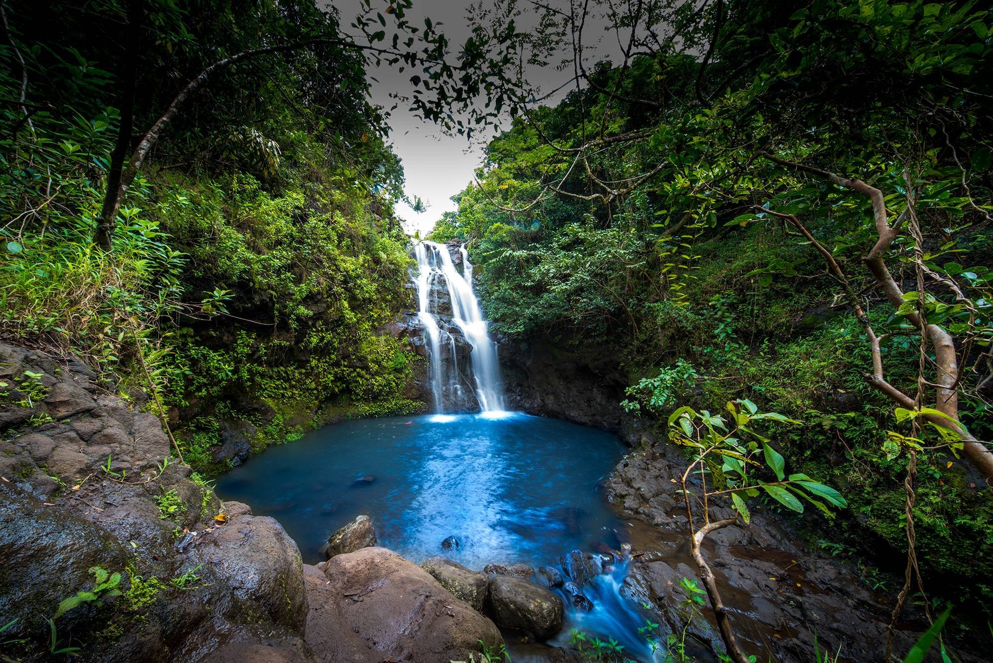 Earth Forest Hawaii Rock Tree Waimano Falls Waterfall 2000x1335