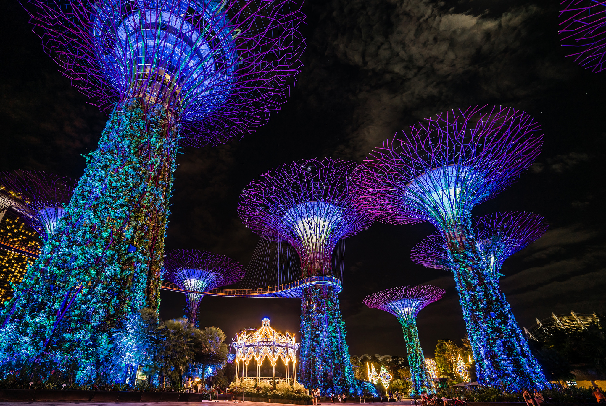 City Light Night Singapore Tree 2048x1374