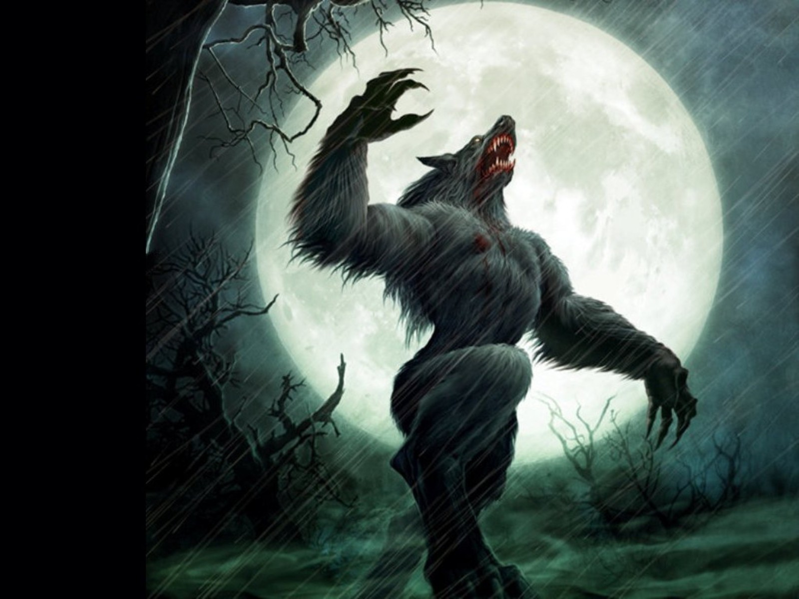 Moon Night Rain Werewolf 1600x1200
