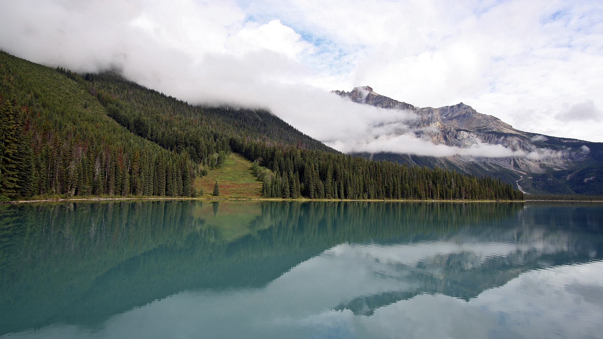 Cloud Fog Hill Lake Landscape Mountain Photography Reflection Sky Tree Water Wilderness Wood 1920x1080