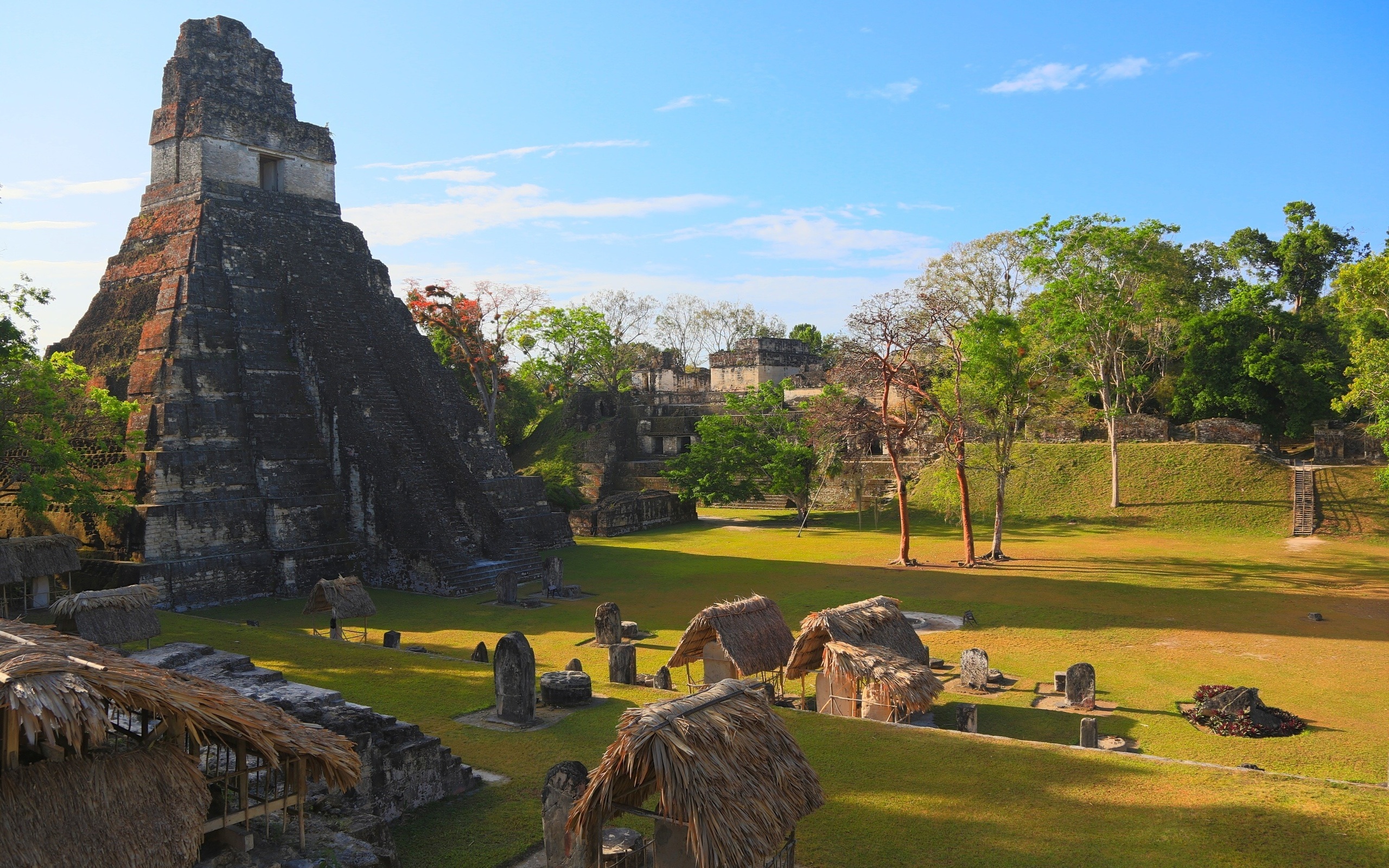 Architecture Ancient Pyramid Maya Civilization Guatemala Historicals Trees Grass Grave Tikal Temple 2560x1600