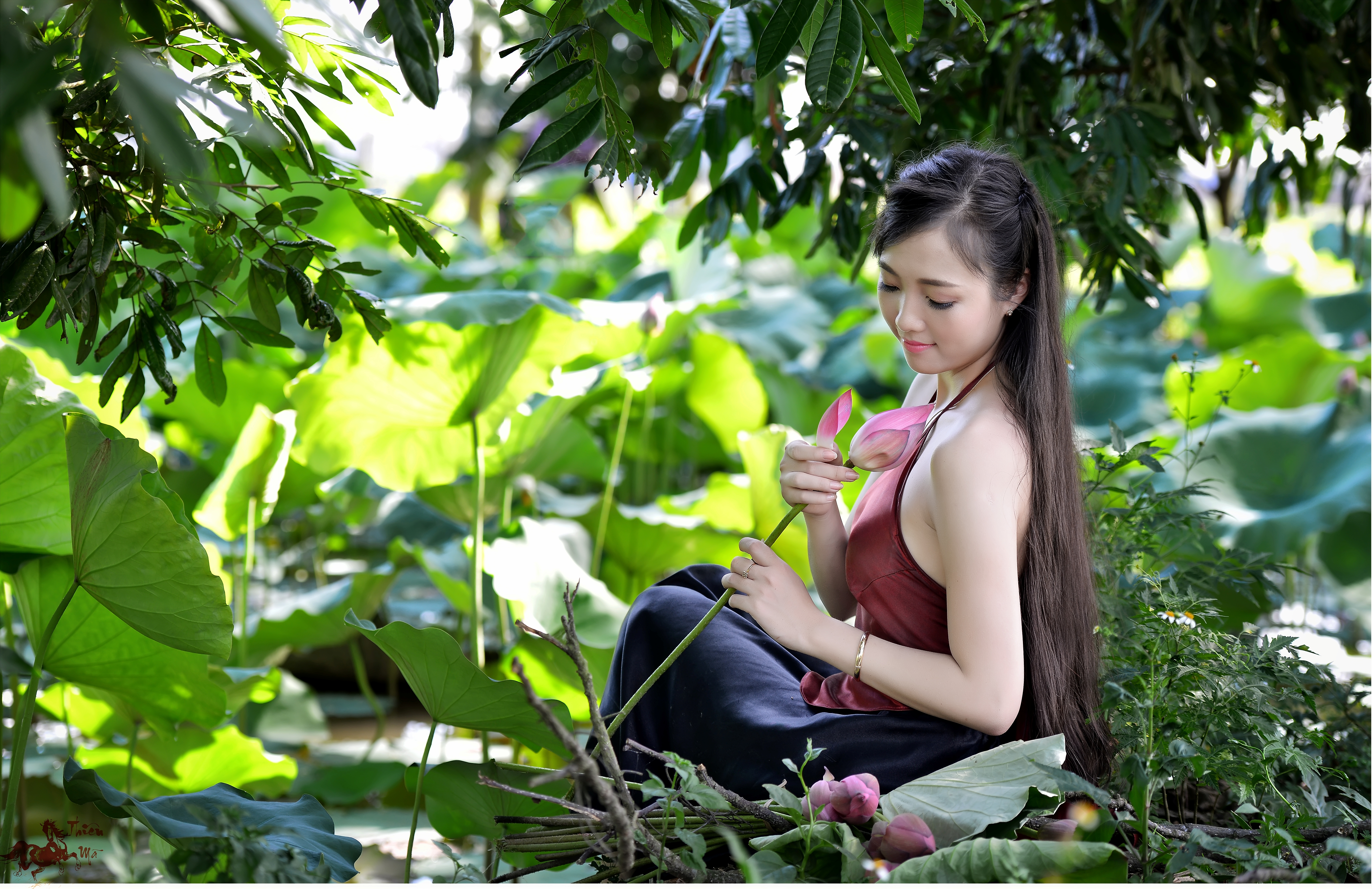 Asian Girl Lotus Pond Smile Vietnamese 6979x4522