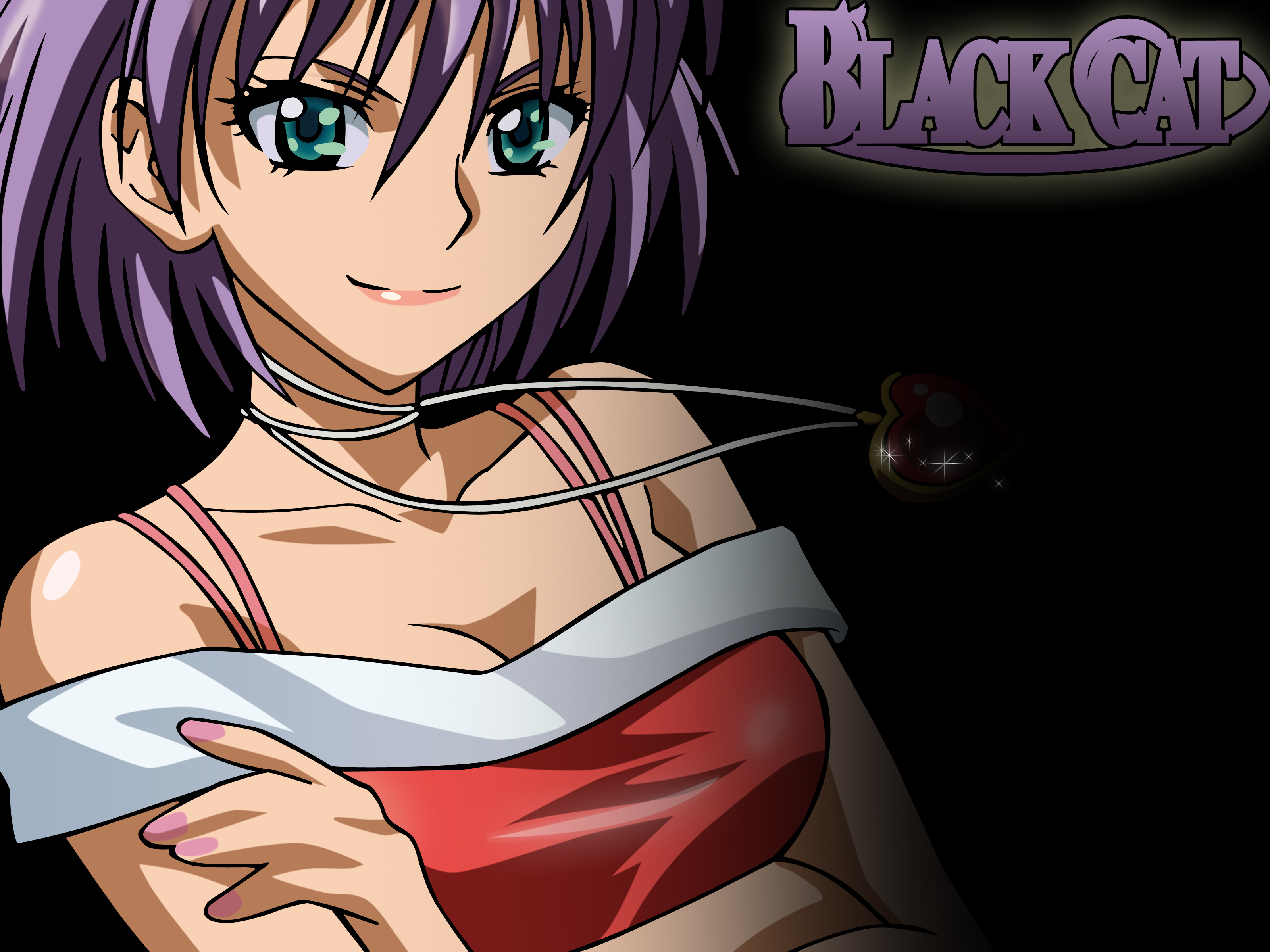 Anime Black Cat 3200x2400