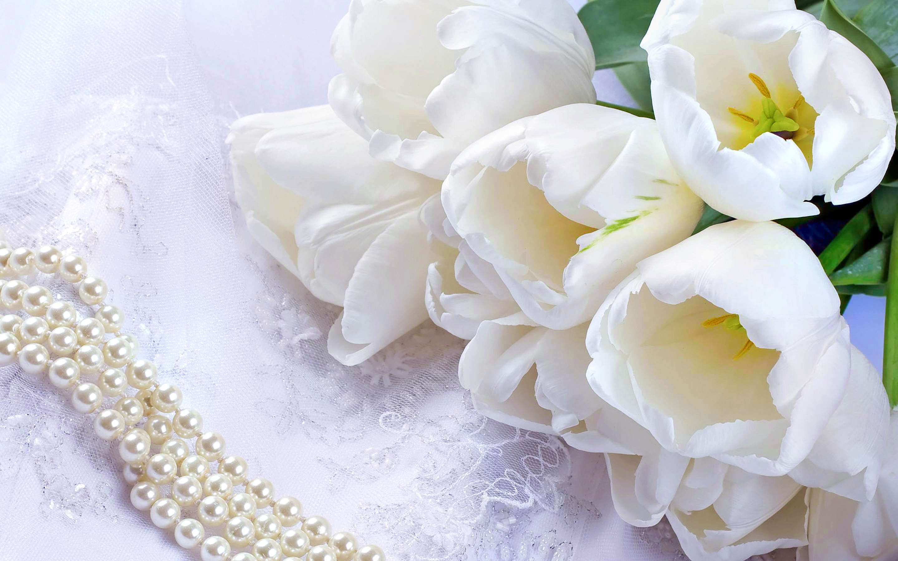 Bouquet Pearl Tulip Valentine 039 S Day White Flower 2880x1800