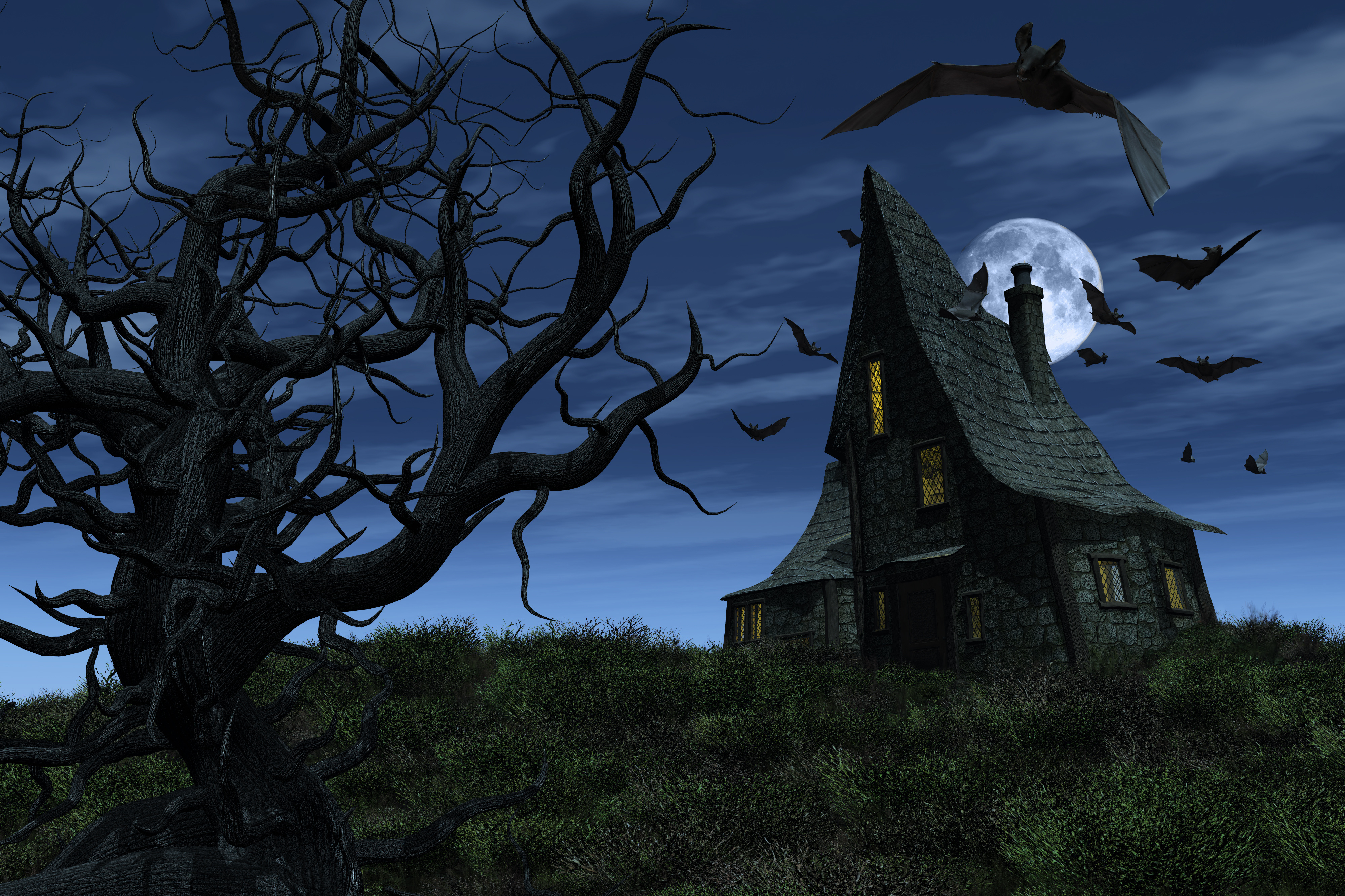 Bat Haunted House Moon Night Tree 4000x2666