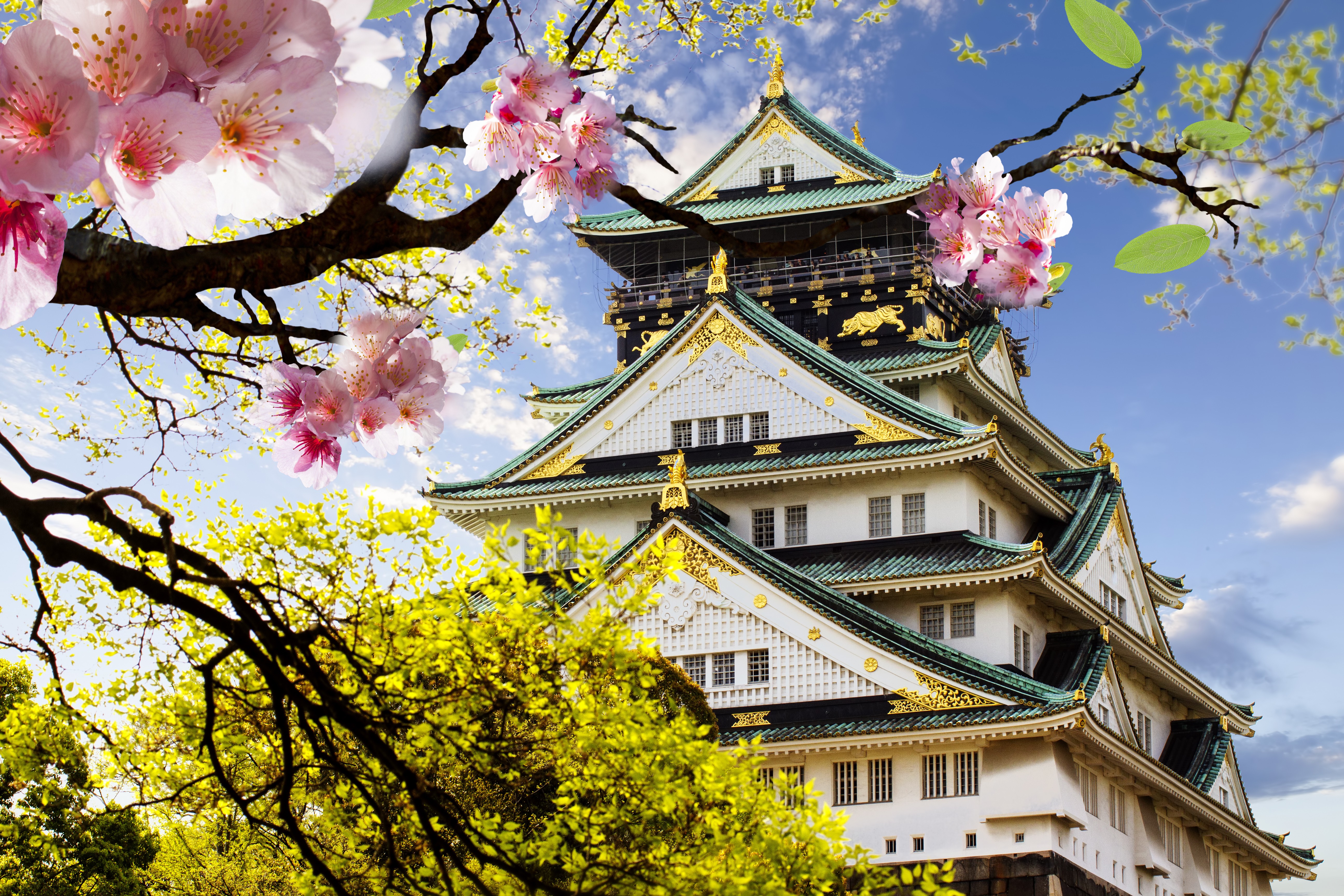 Cherry Blossom Japan Pagoda 5184x3456