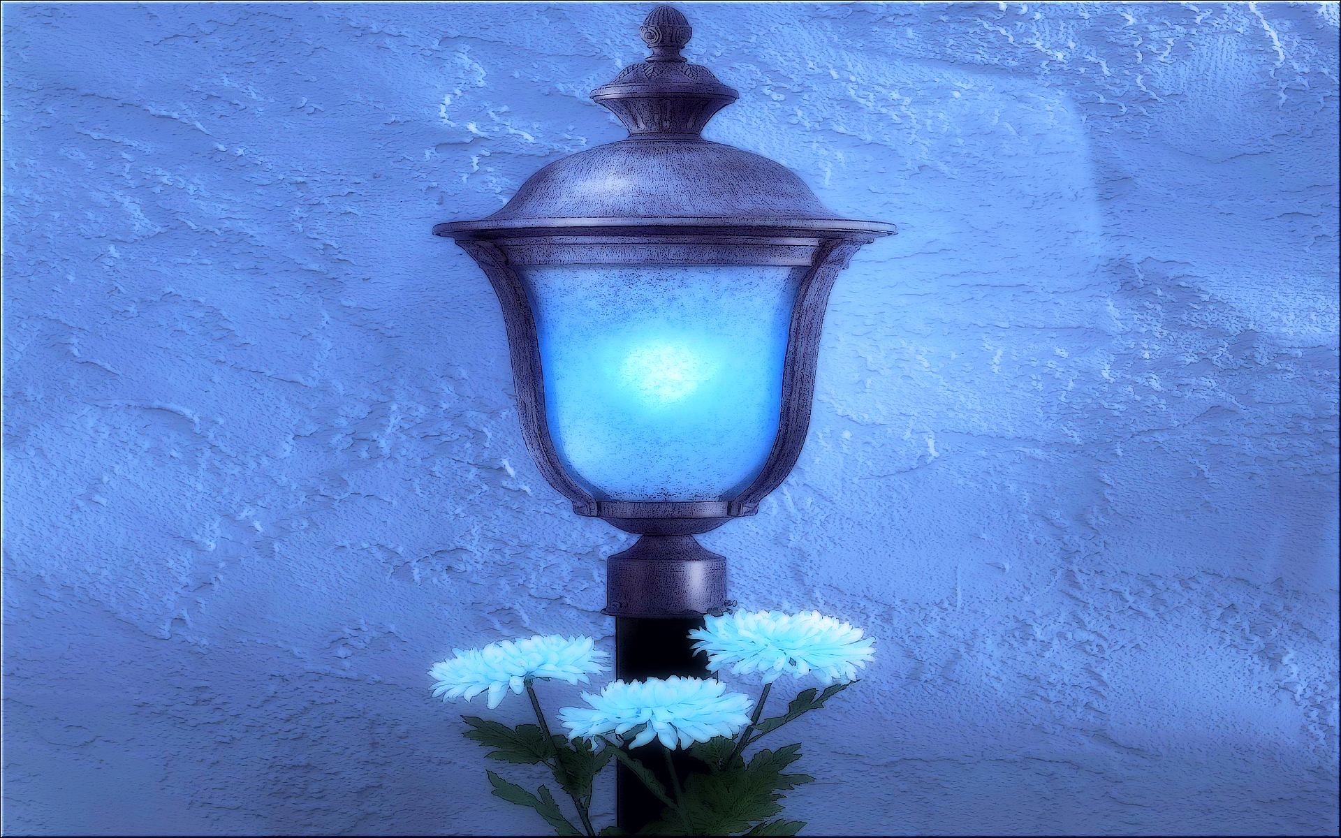 Blue Flower Lantern 1920x1200