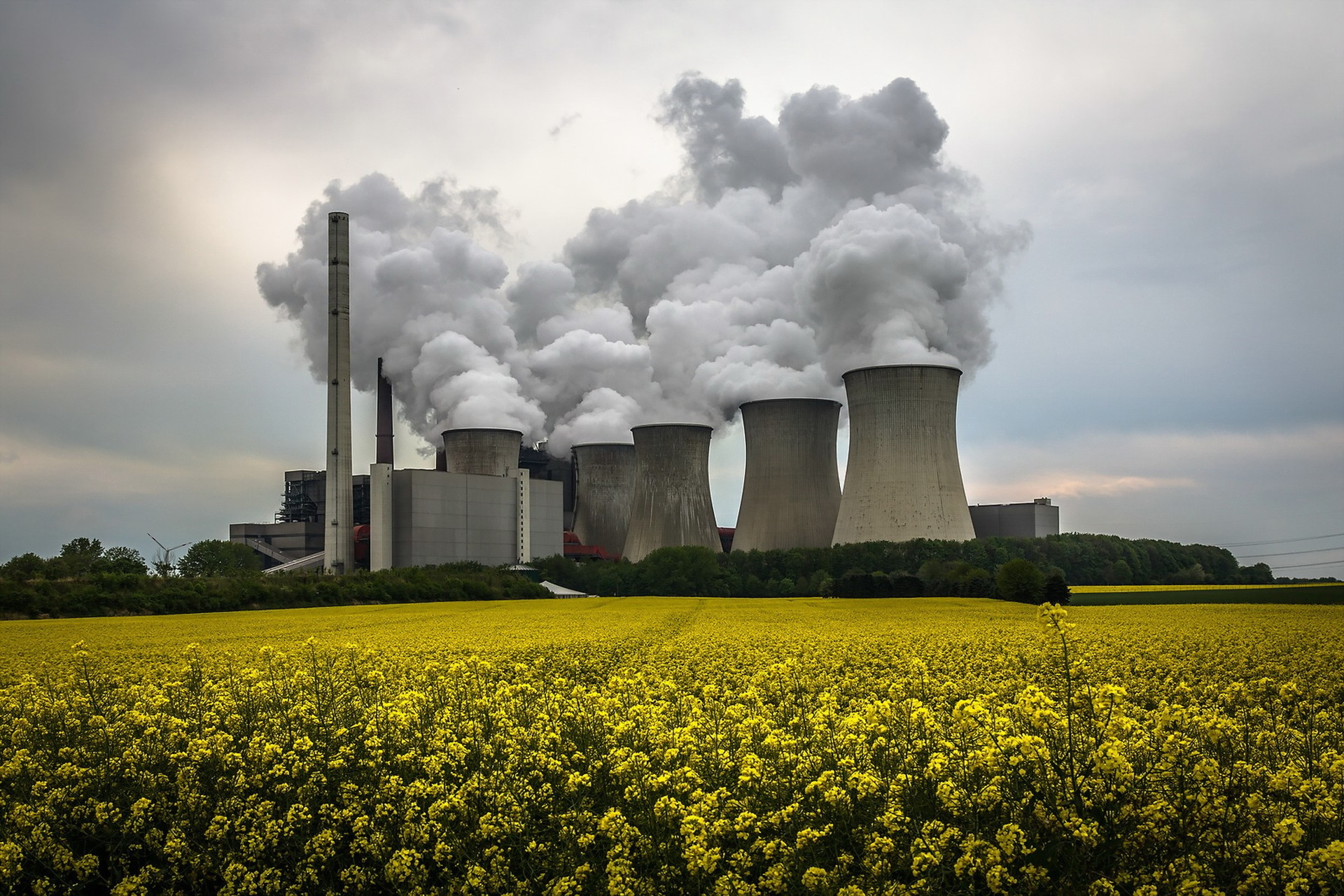 Factory Nuclear Plant Power Plant Smoke Tower Yellow Flower 1920x1280