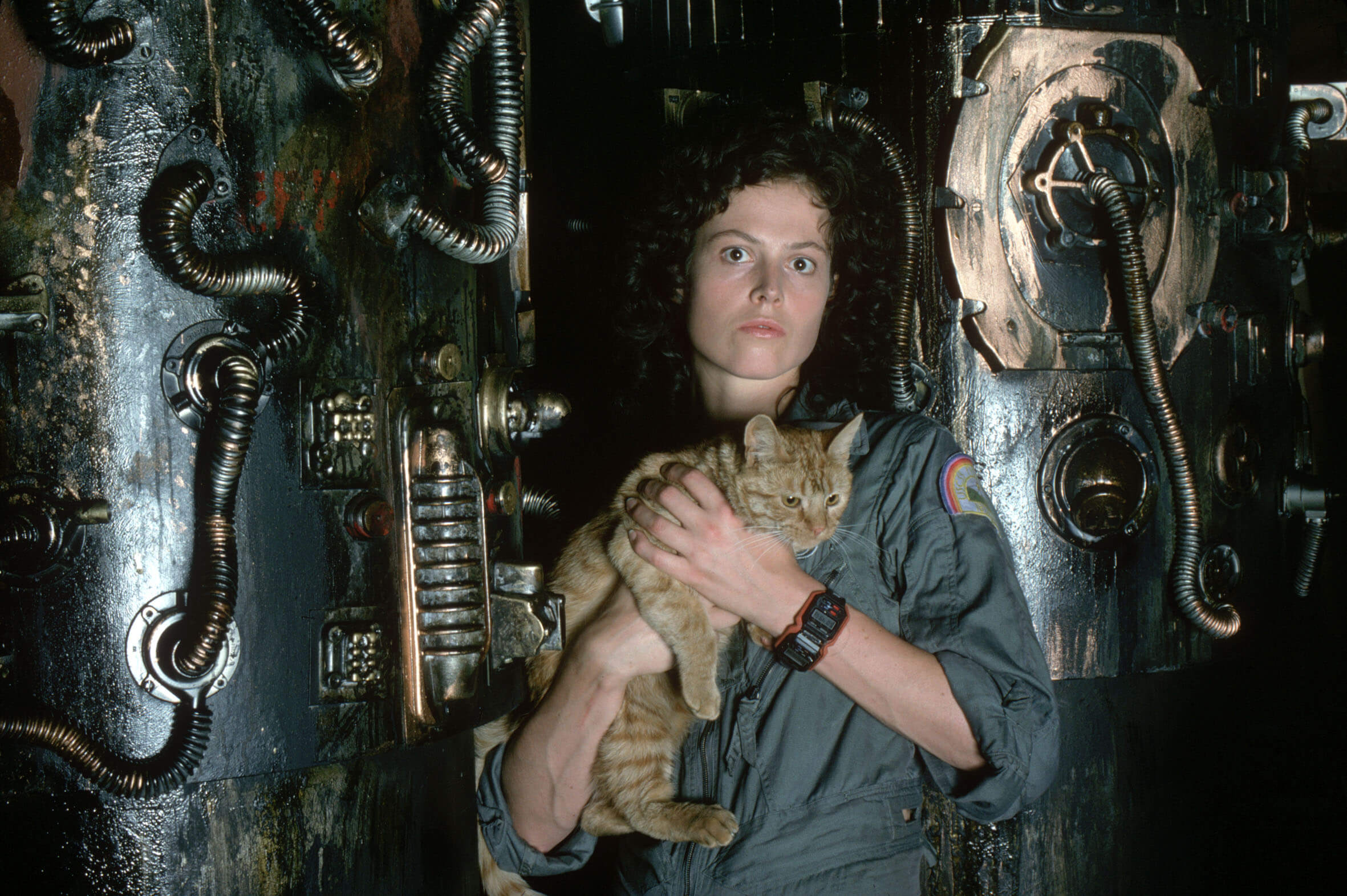 Alien Cat Ellen Ripley Sigourney Weaver 2362x1572