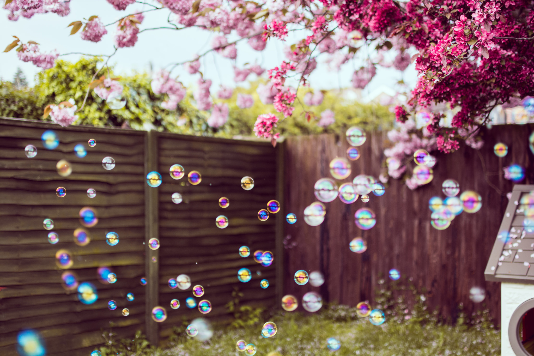 Blossom Bubble Spring 2048x1365
