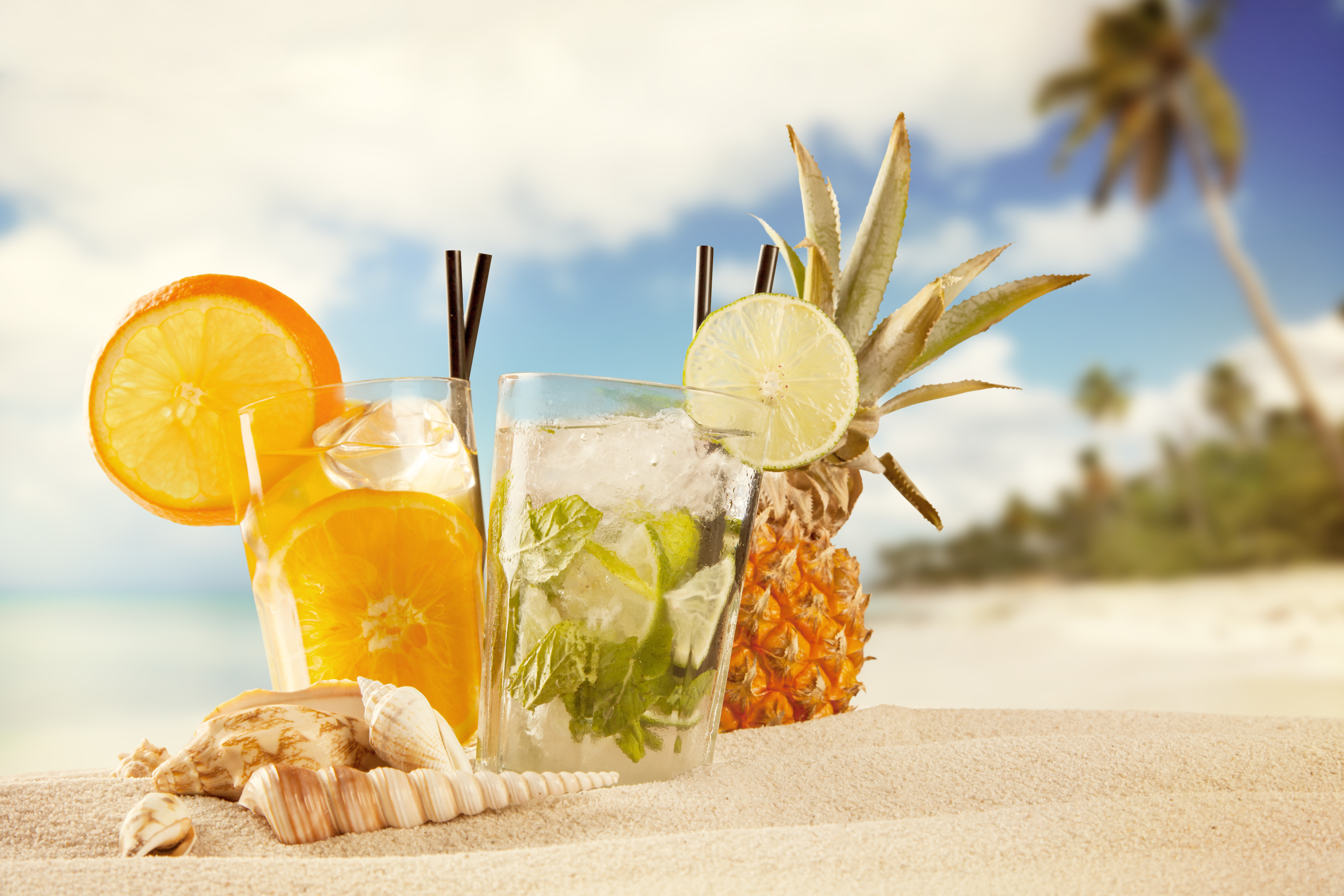 Beach Cocktail Glass Pineapple Sand Shell Summer Orange Fruit 5616x3744