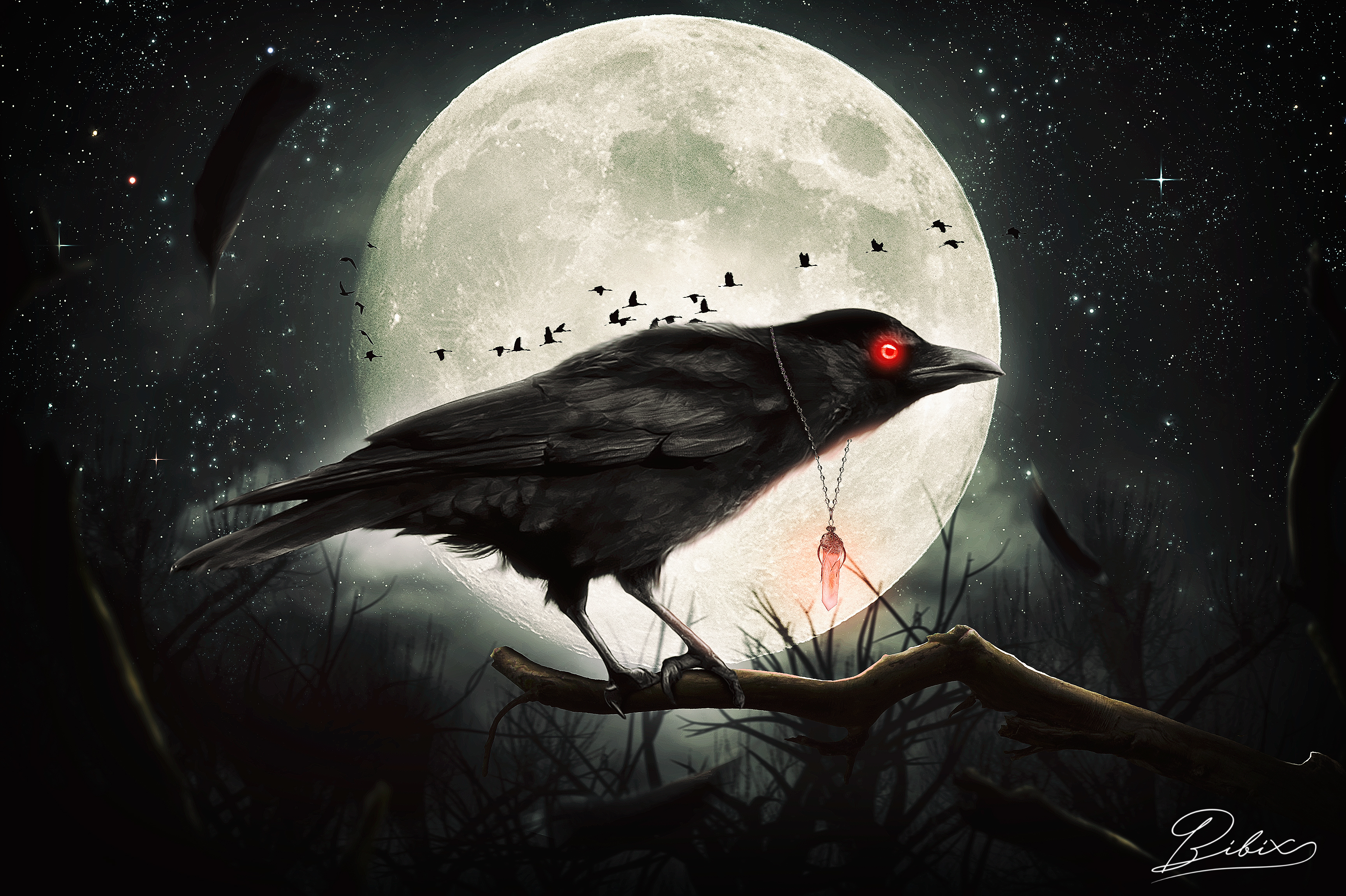 Animal Bird Branch Moon Night Raven 3456x2302
