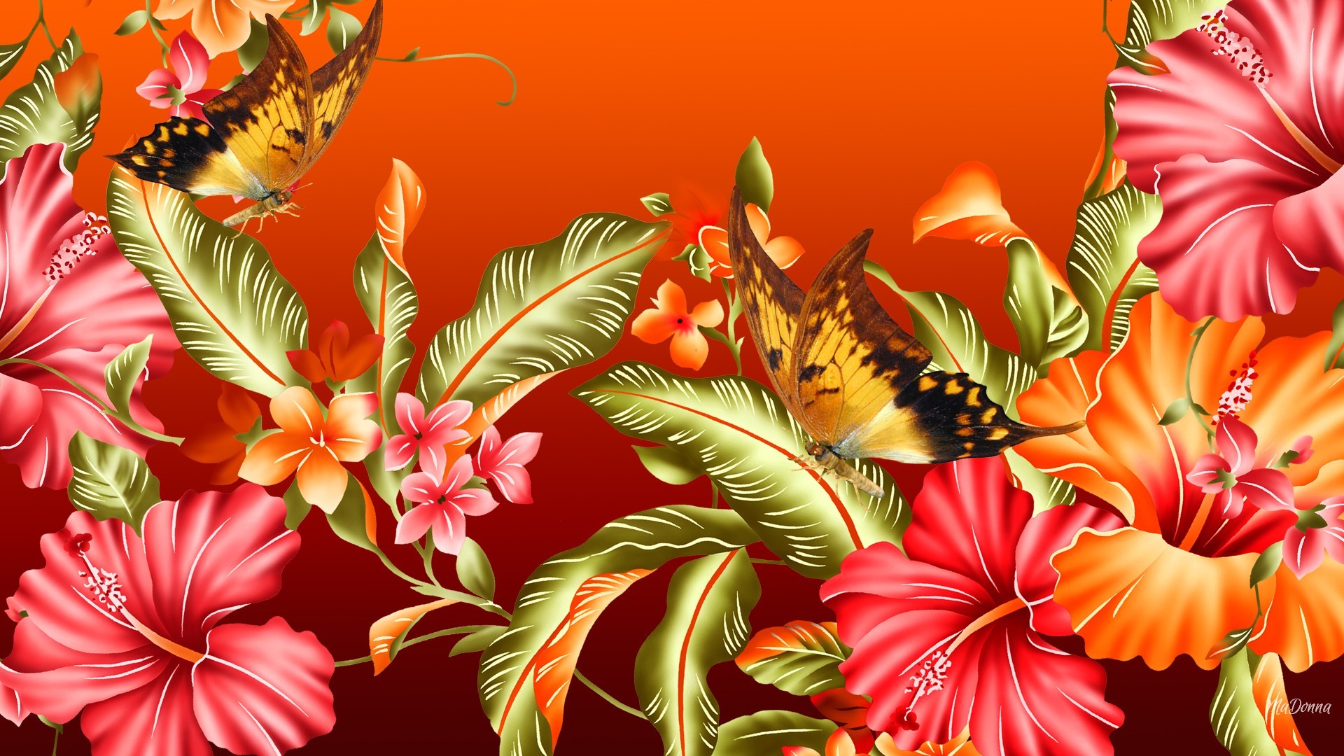 Artistic Butterfly Colorful Colors Flower 1920x1080