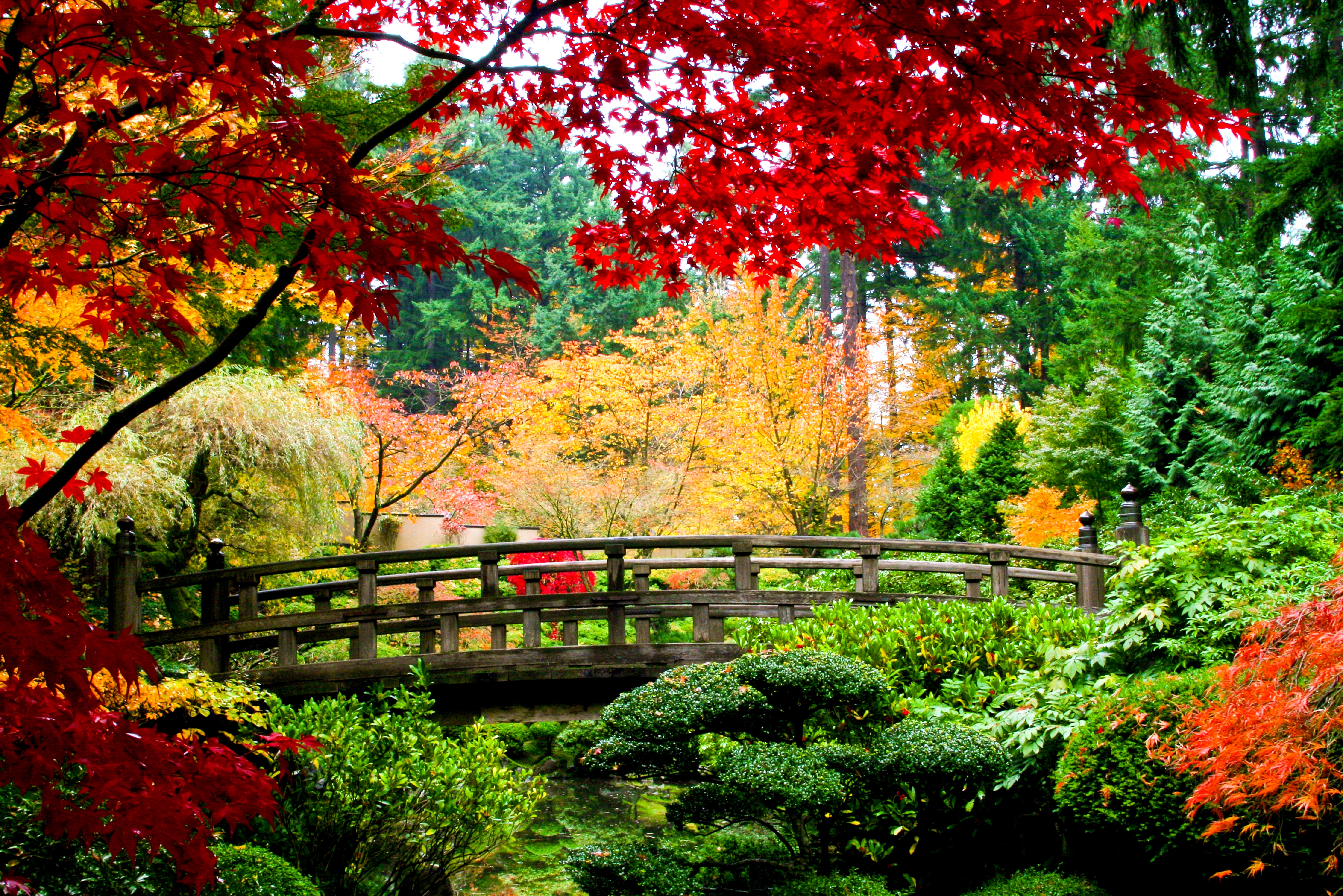 Bridge Colors Garden Leaf Oriental 5830x3890