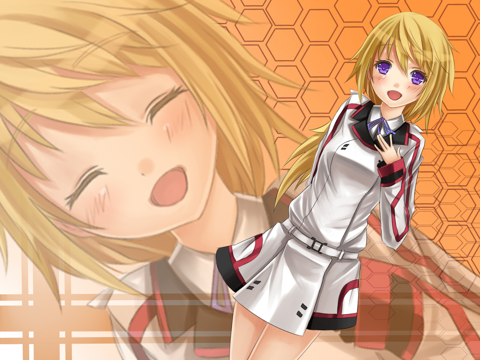 Anime Infinite Stratos 1600x1200