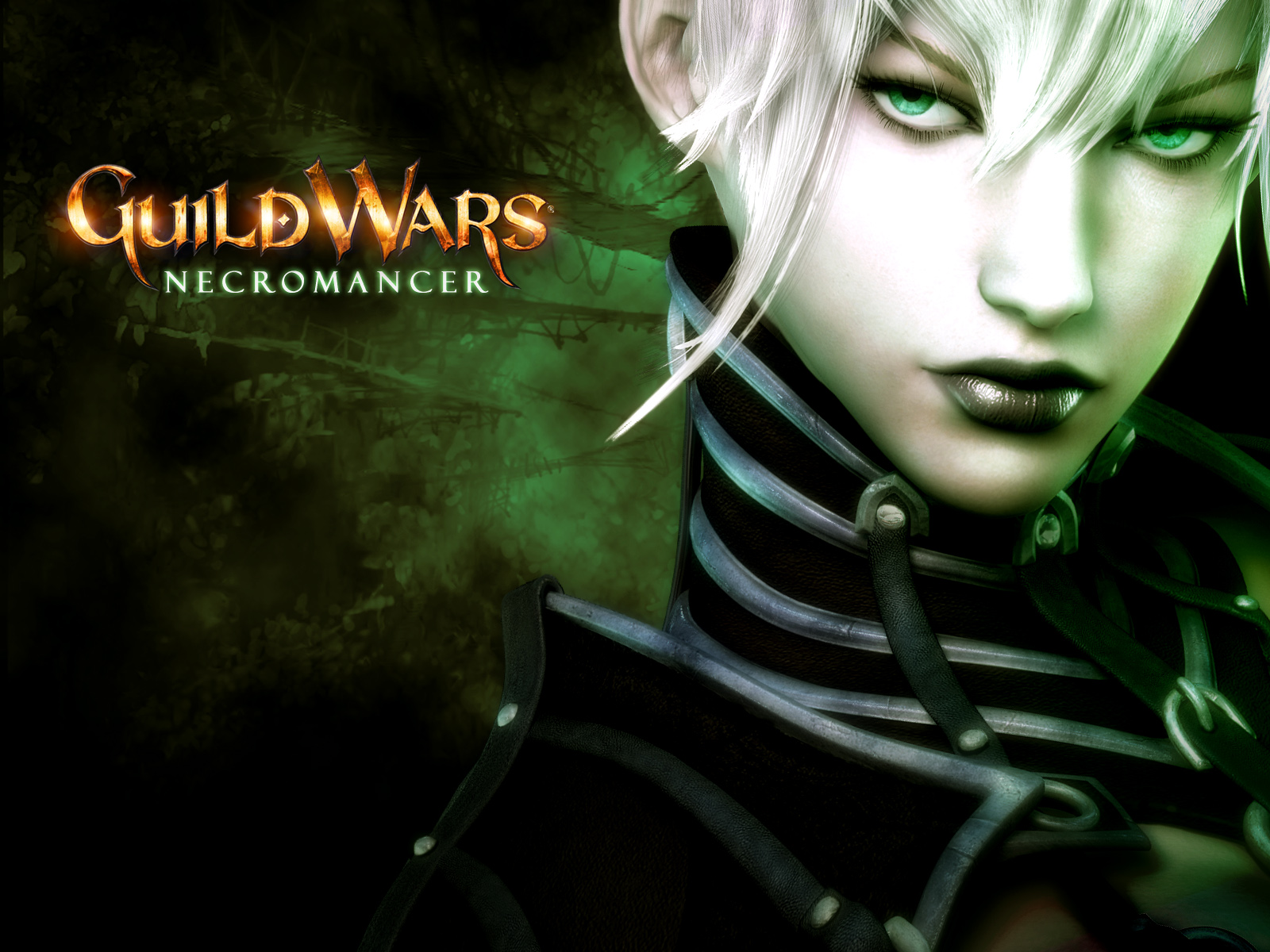 Video Game Guild Wars 1600x1200