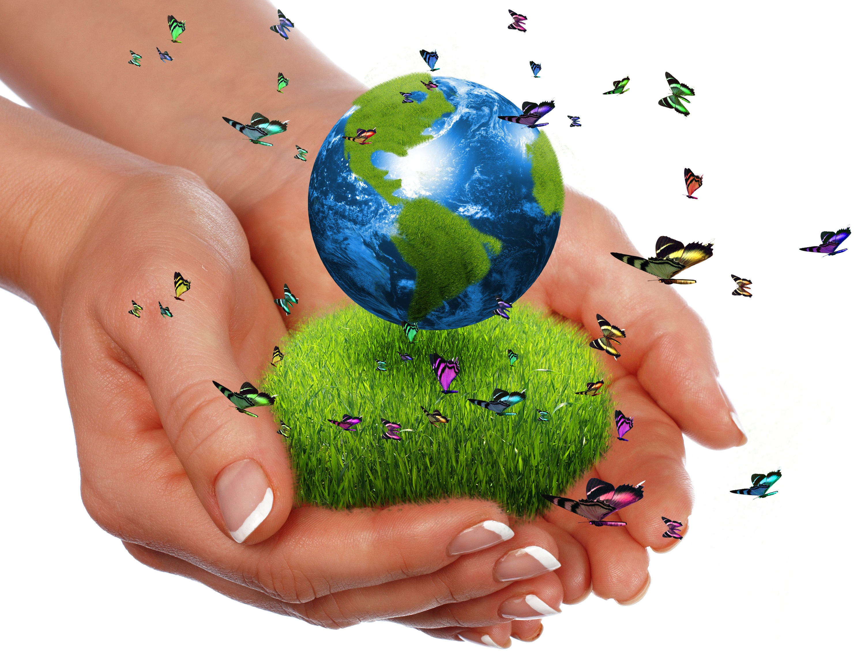 Butterfly Earth Earth Day Grass Hand Holiday Planet 3000x2315