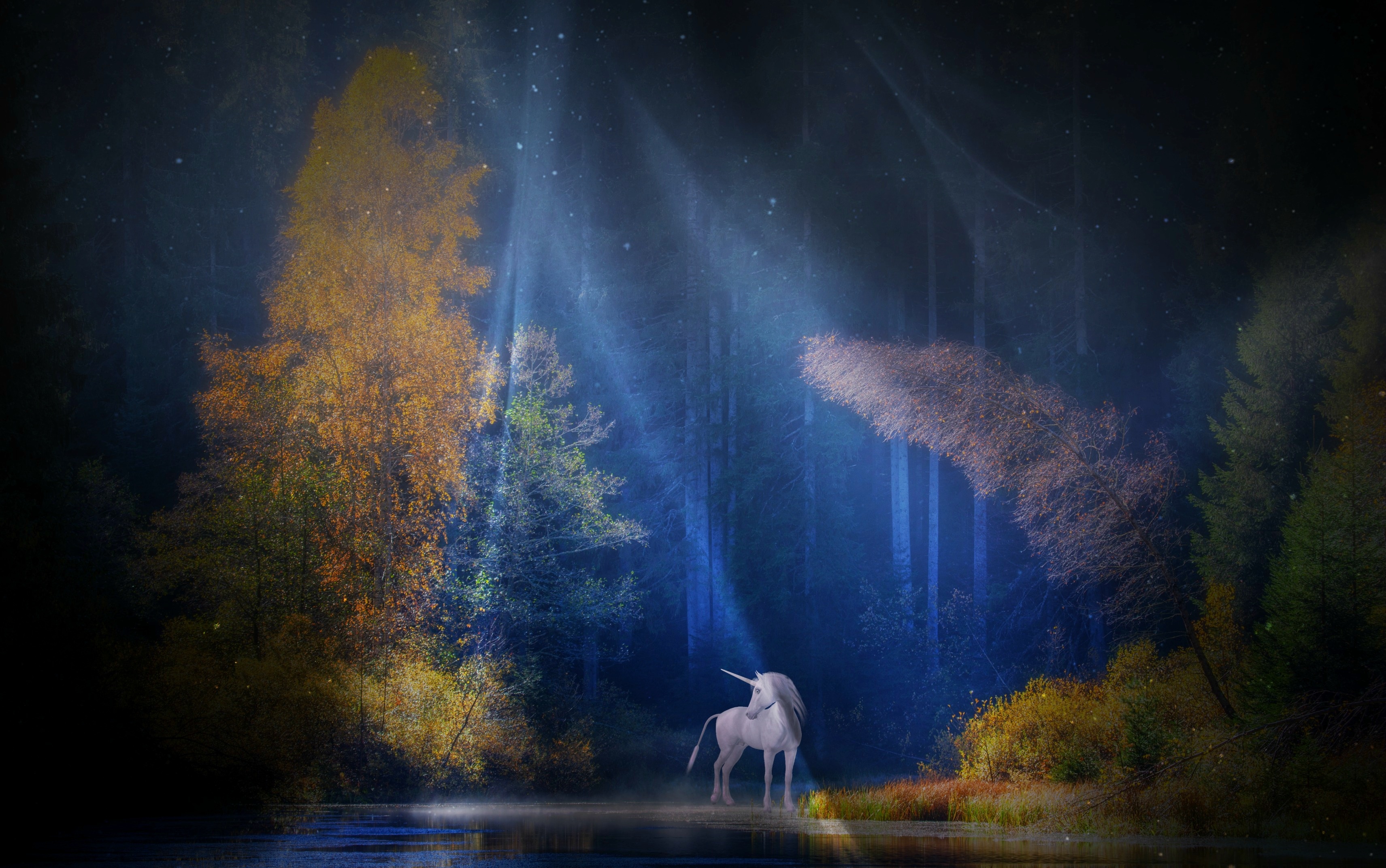 Animal Fantasy Forest Mystical Sunbeam Tree Unicorn 3423x2144