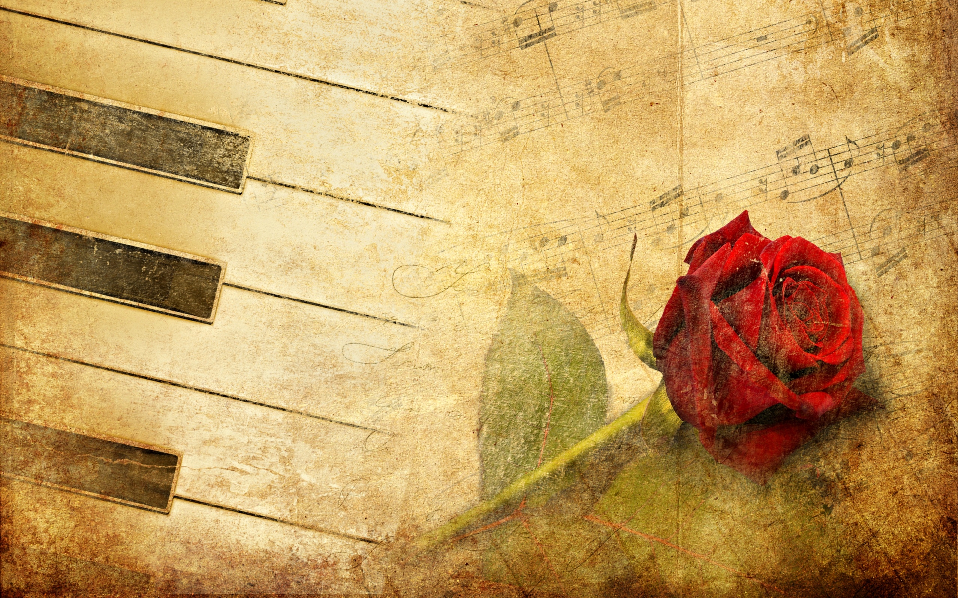 Artistic Flower Rose Sheet Music 1920x1200