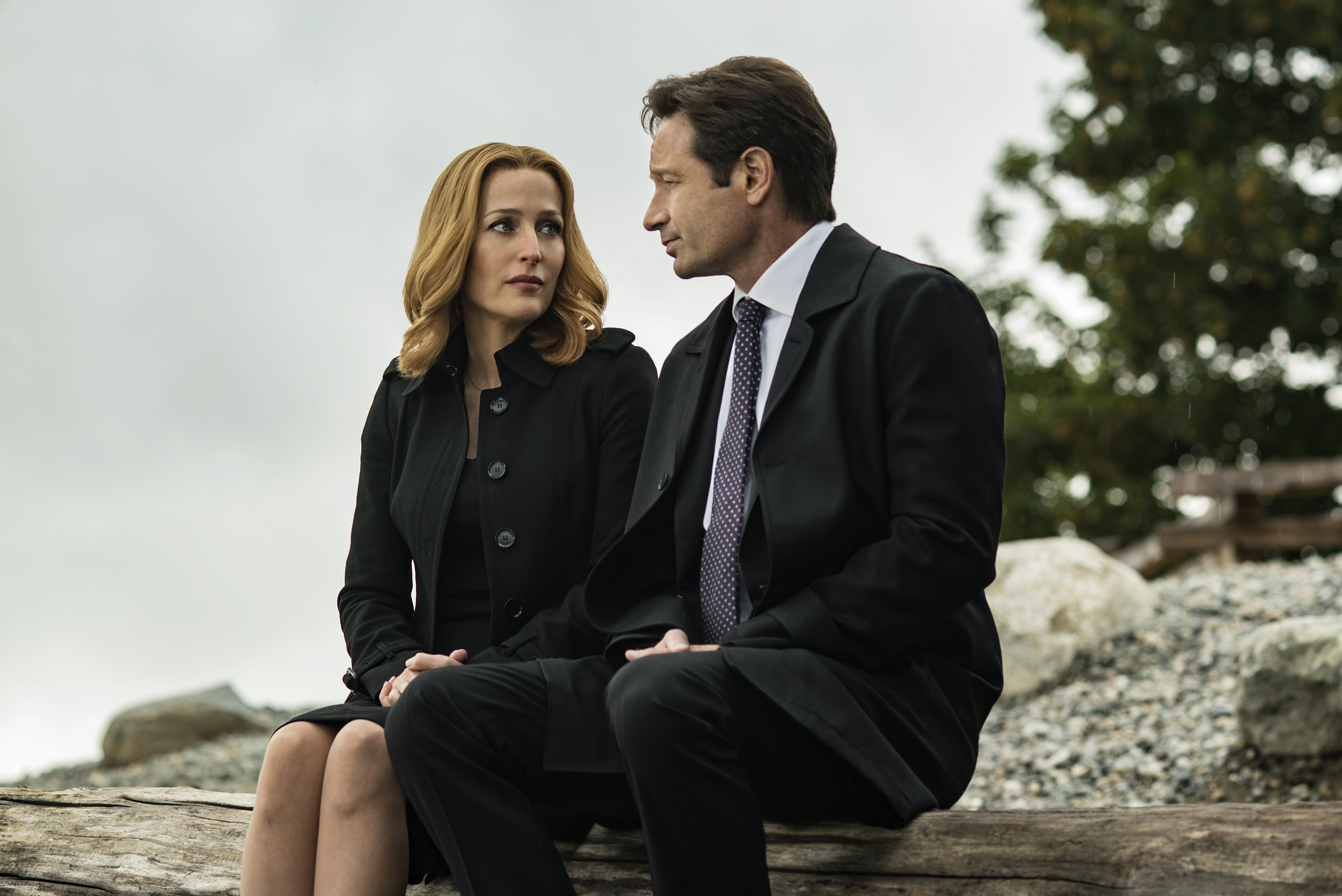 Dana Scully David Duchovny Fox Mulder Gillian Anderson 3900x2605