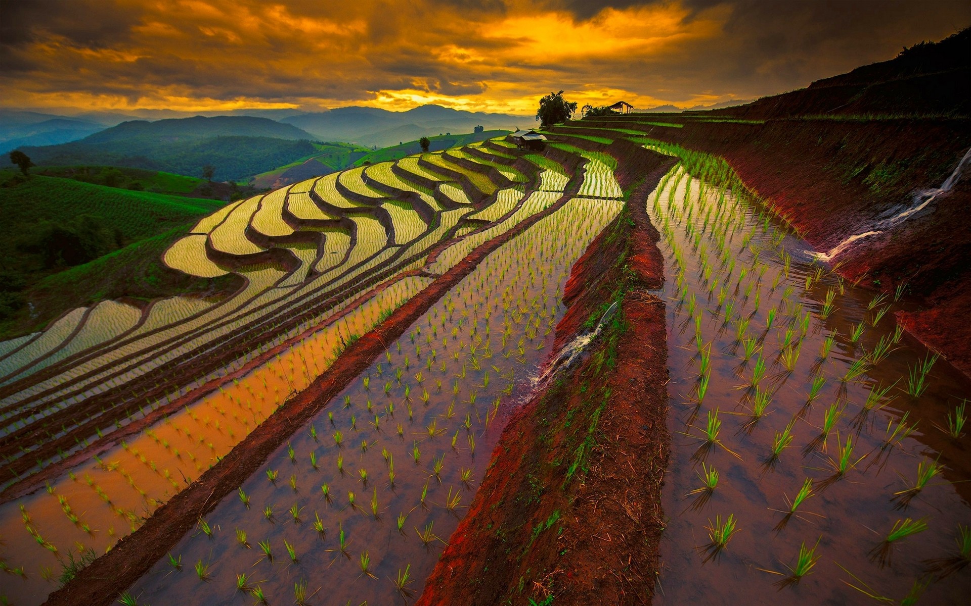 Earth Field Mountain Rice Terrace Sunset Thailand 1920x1200