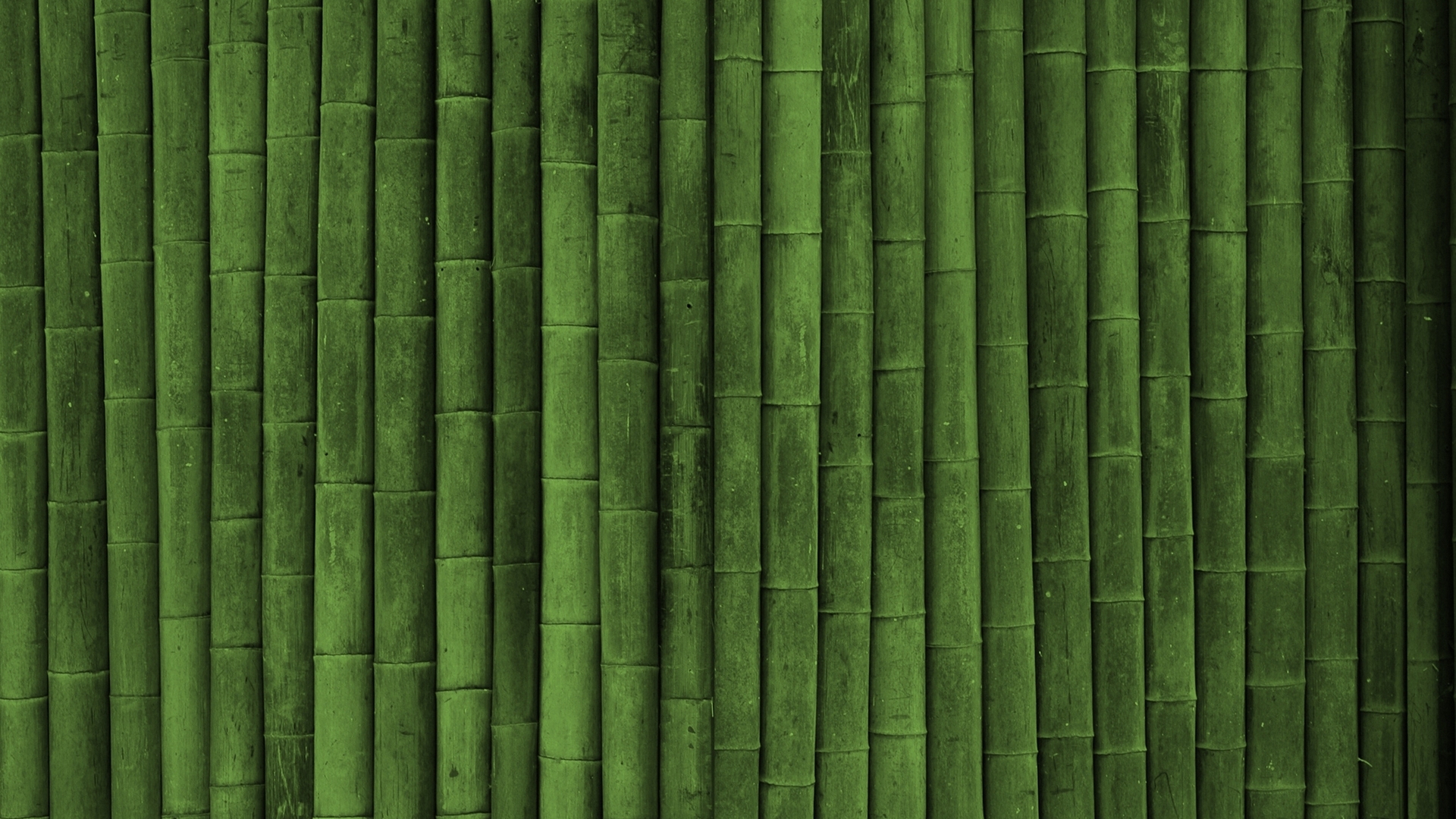 Earth Bamboo 1920x1080