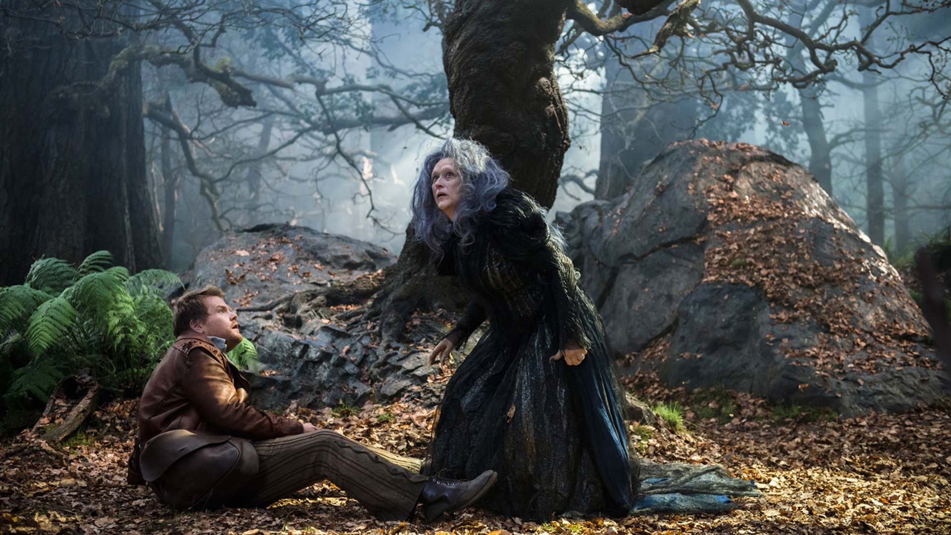 Movie Into The Woods 2014 1920x1080