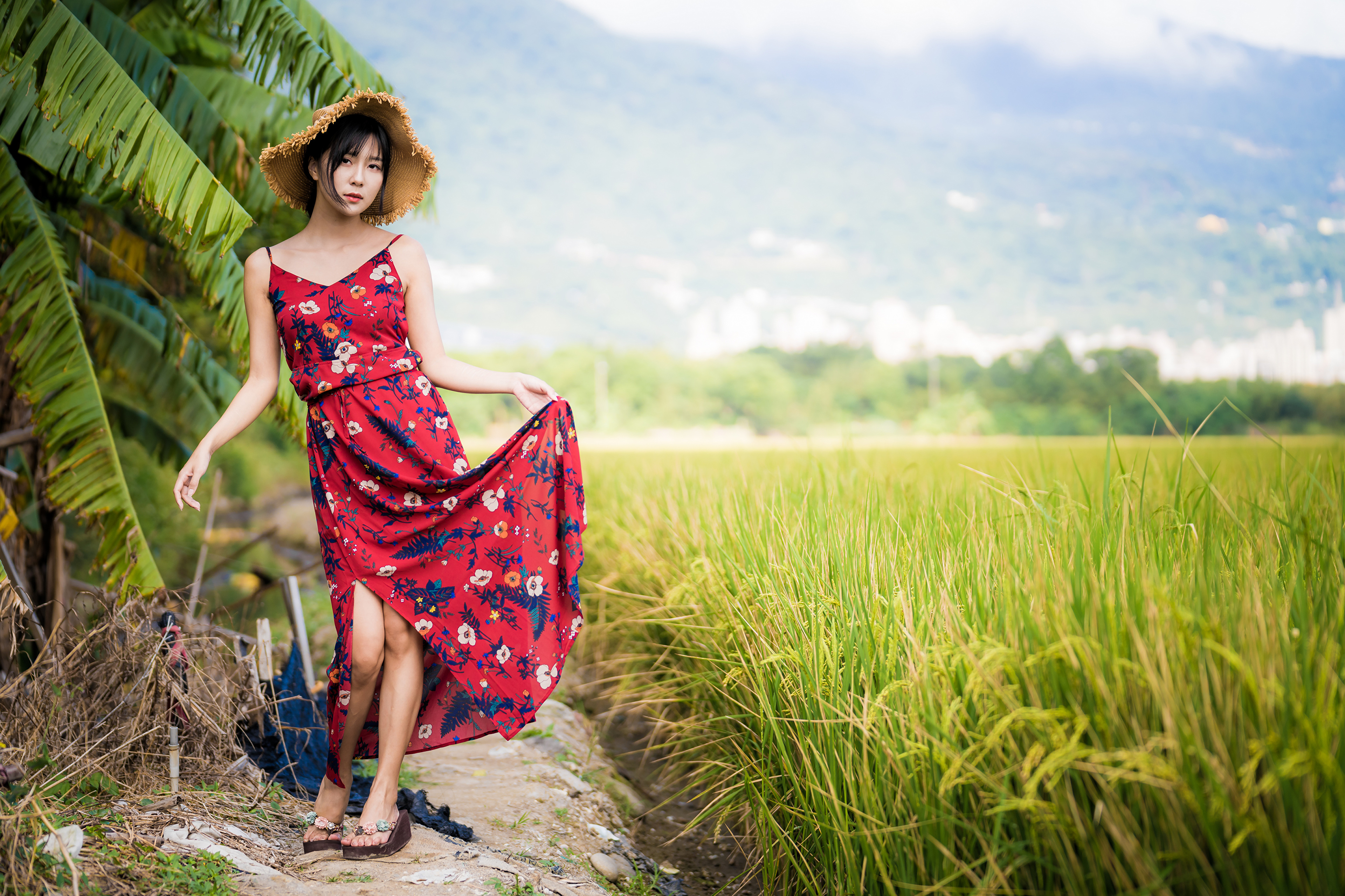 Asian Women Model Flip Flops Barefoot Flower Dress Straw Hat Field Trees Palm Trees 3840x2559
