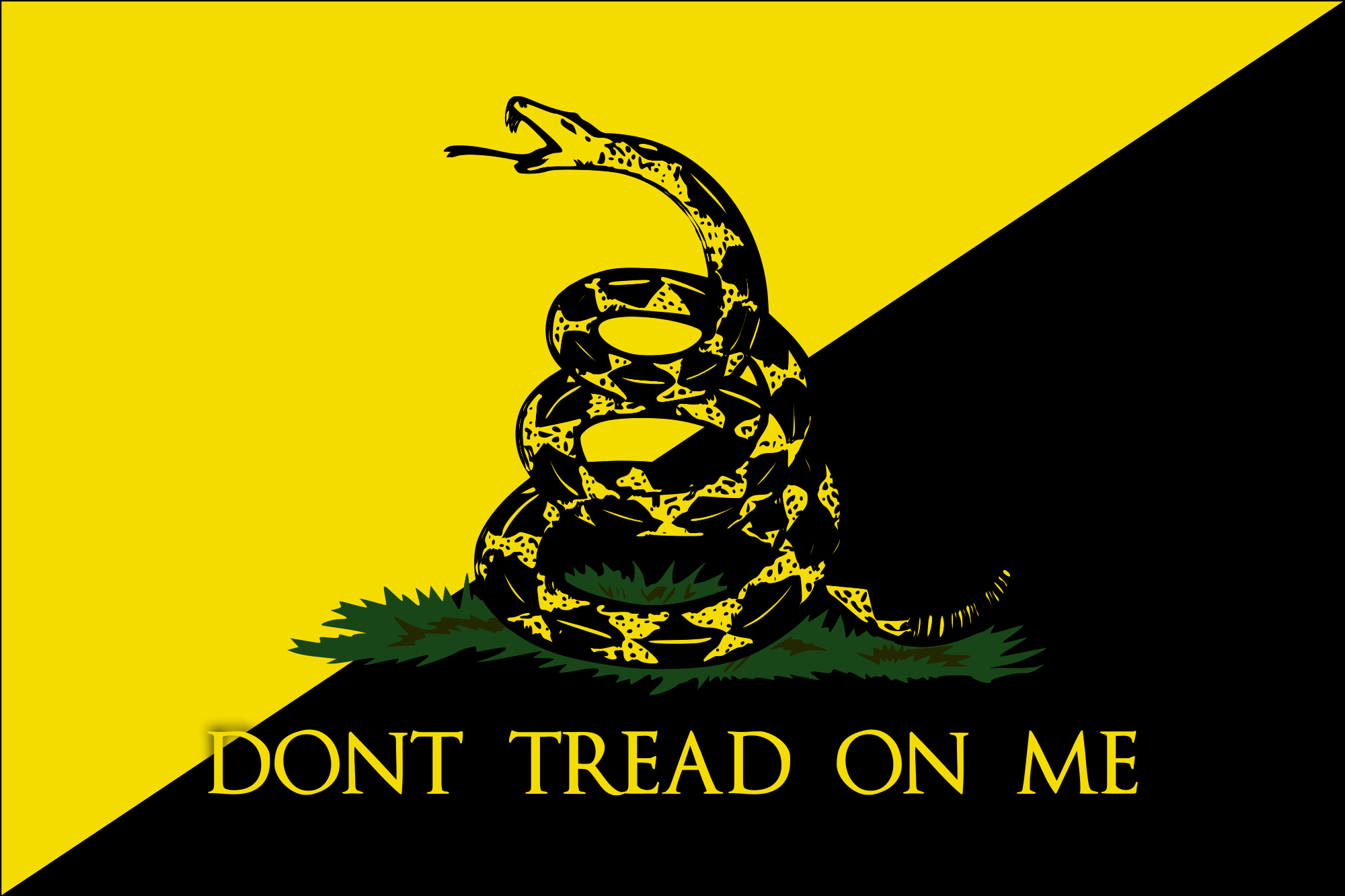 Misc Gadsden Flag 2000x1333