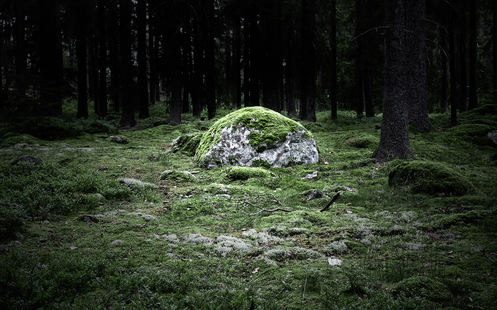 Blocksberg Forest Occult Stone Wood 1680x1050