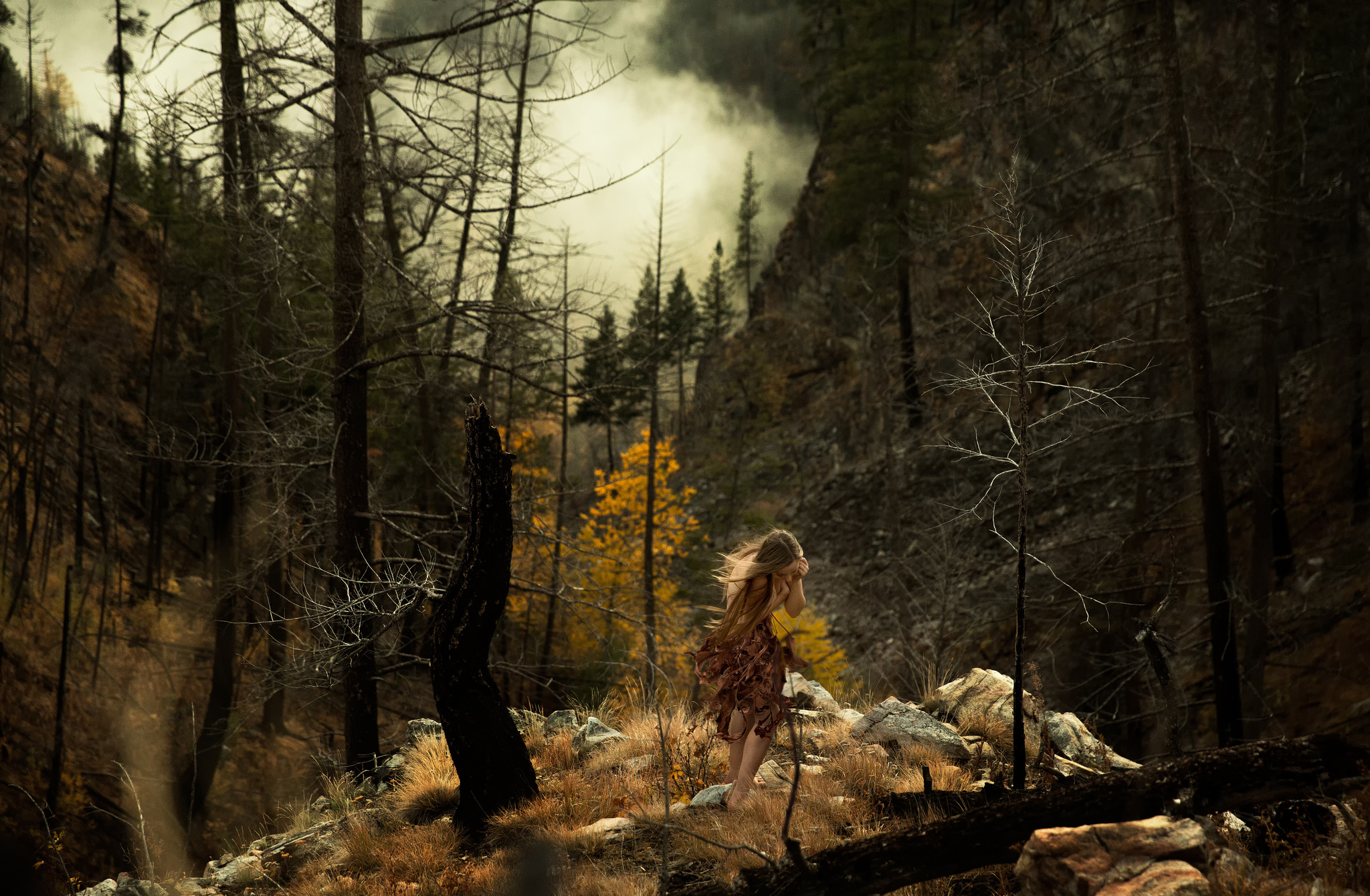 Хранилище времени затерянная глушь. Девушка в лесу. Тайга мистика. Женщина в хвойном лесу. Ведьмин лес.