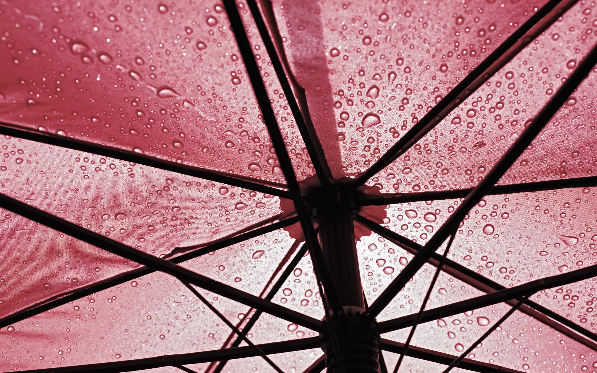 Photography Umbrella 1920x1200