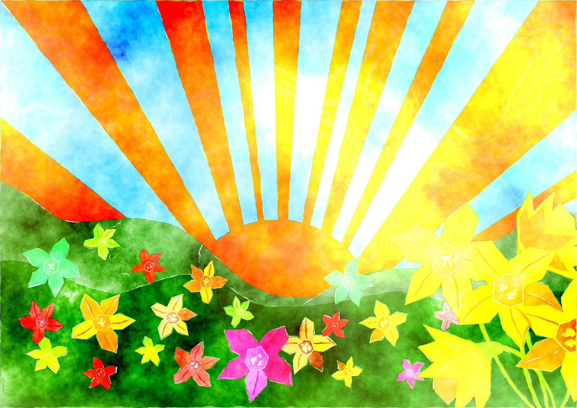 Abstract Colorful Colors Flower Spring Sun 2000x1414