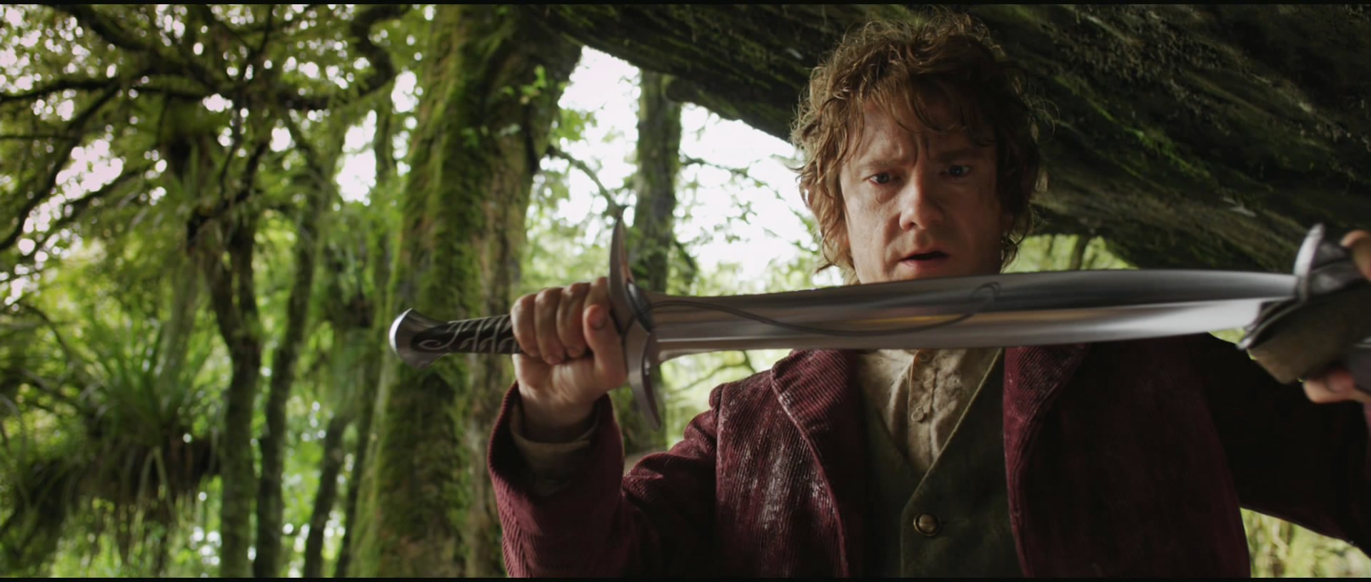 Movie The Hobbit An Unexpected Journey 1920x816