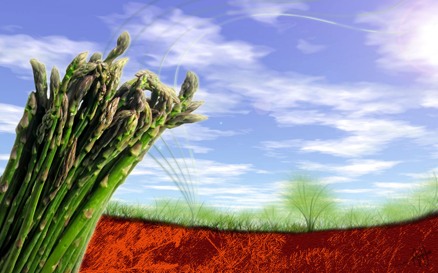 Asparagus 1440x900